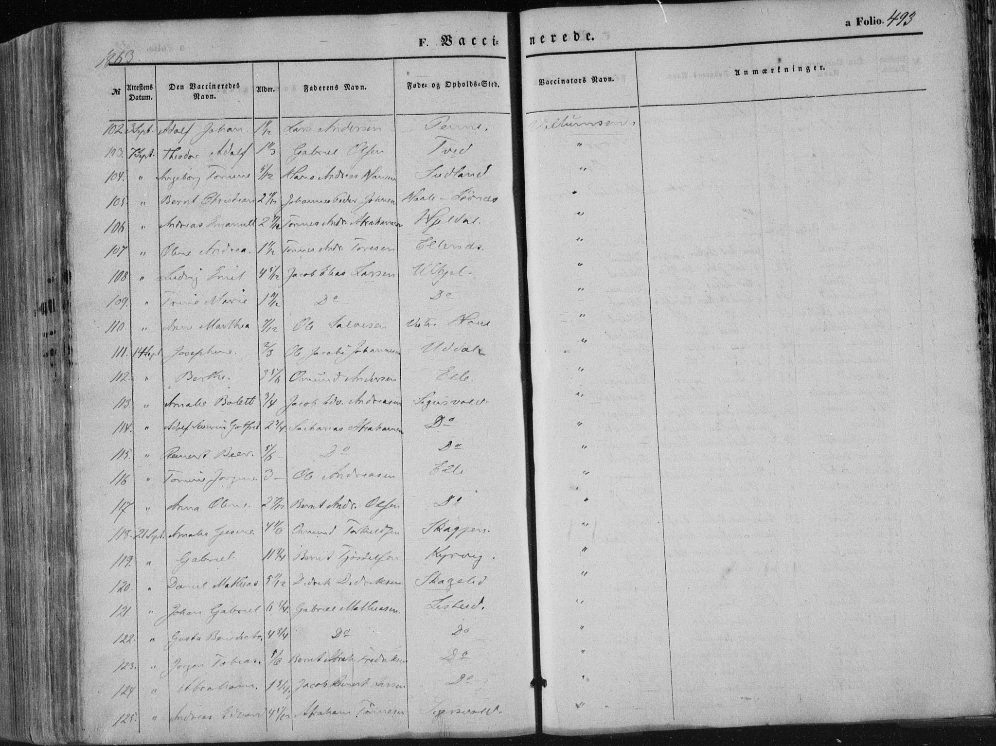 Lista sokneprestkontor, AV/SAK-1111-0027/F/Fa/L0011: Parish register (official) no. A 11, 1861-1878, p. 493