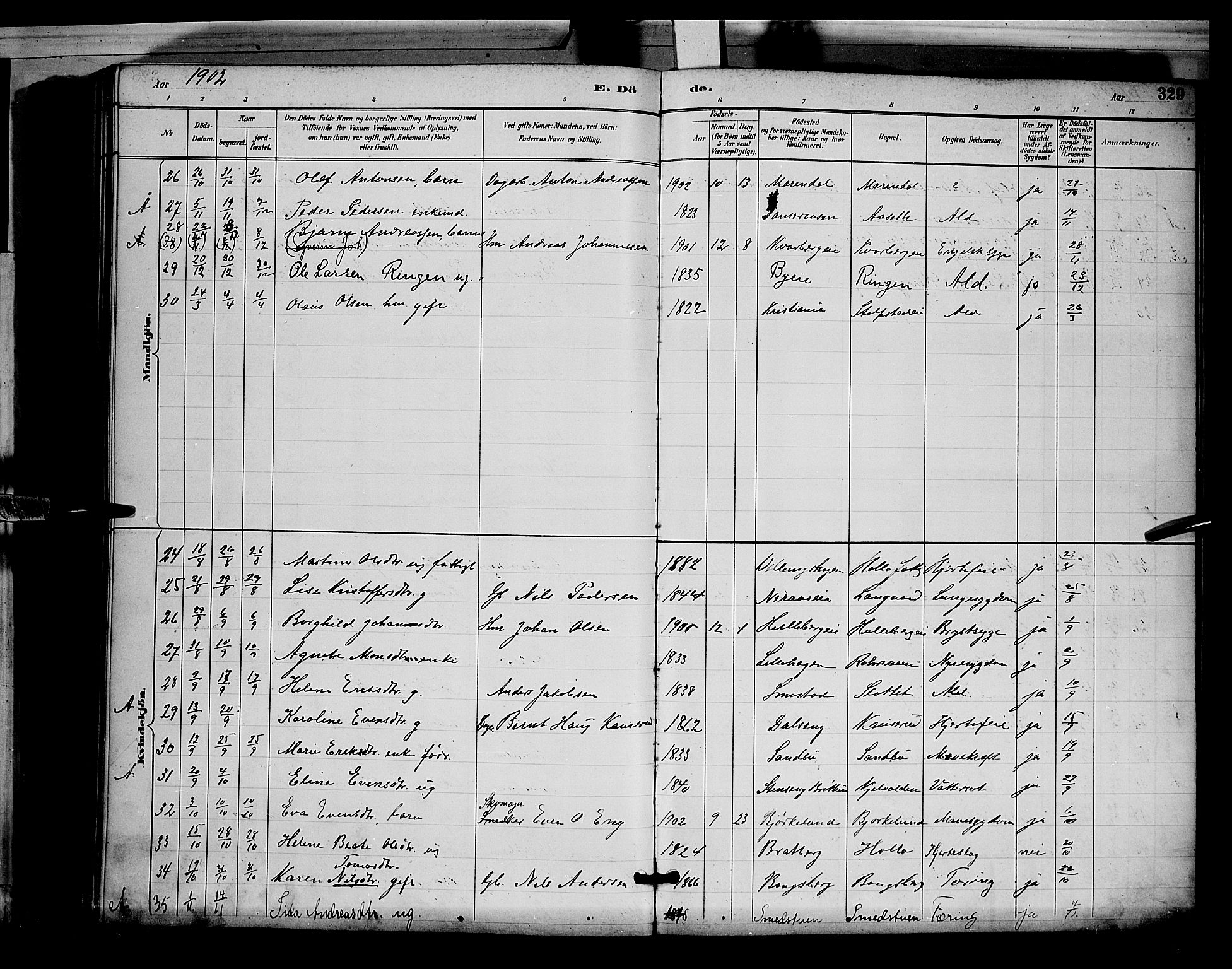 Ringsaker prestekontor, AV/SAH-PREST-014/L/La/L0012: Parish register (copy) no. 12, 1891-1902, p. 329