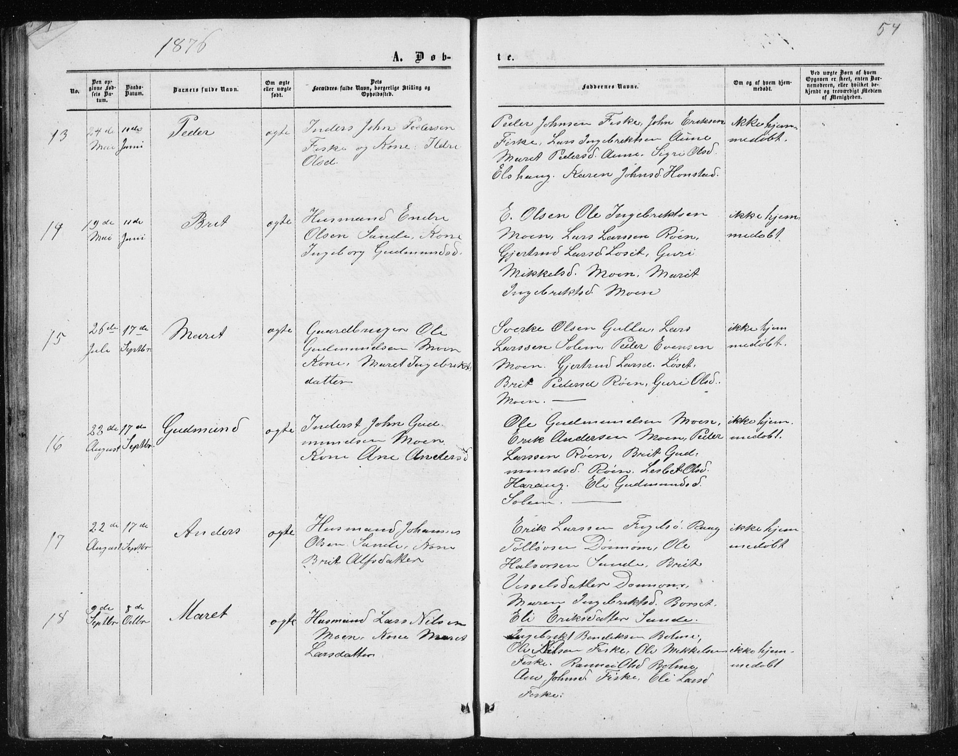 Ministerialprotokoller, klokkerbøker og fødselsregistre - Møre og Romsdal, AV/SAT-A-1454/597/L1064: Parish register (copy) no. 597C01, 1866-1898, p. 54