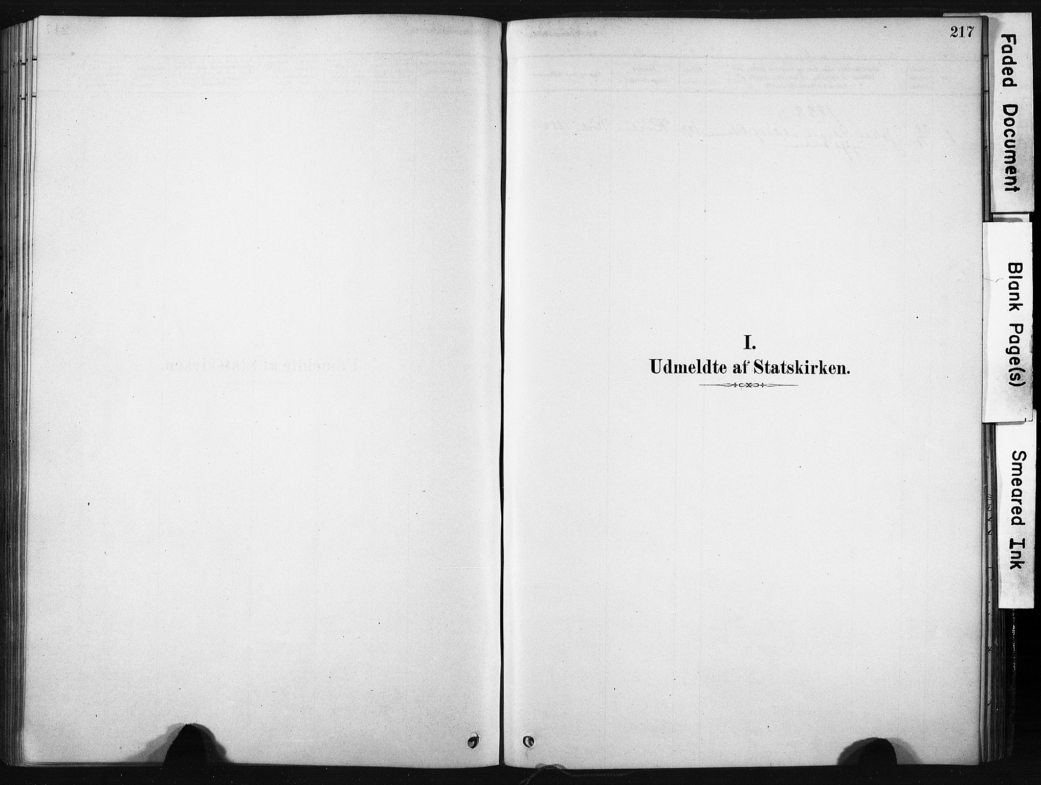 Ministerialprotokoller, klokkerbøker og fødselsregistre - Nordland, AV/SAT-A-1459/808/L0128: Parish register (official) no. 808A01, 1880-1902, p. 217