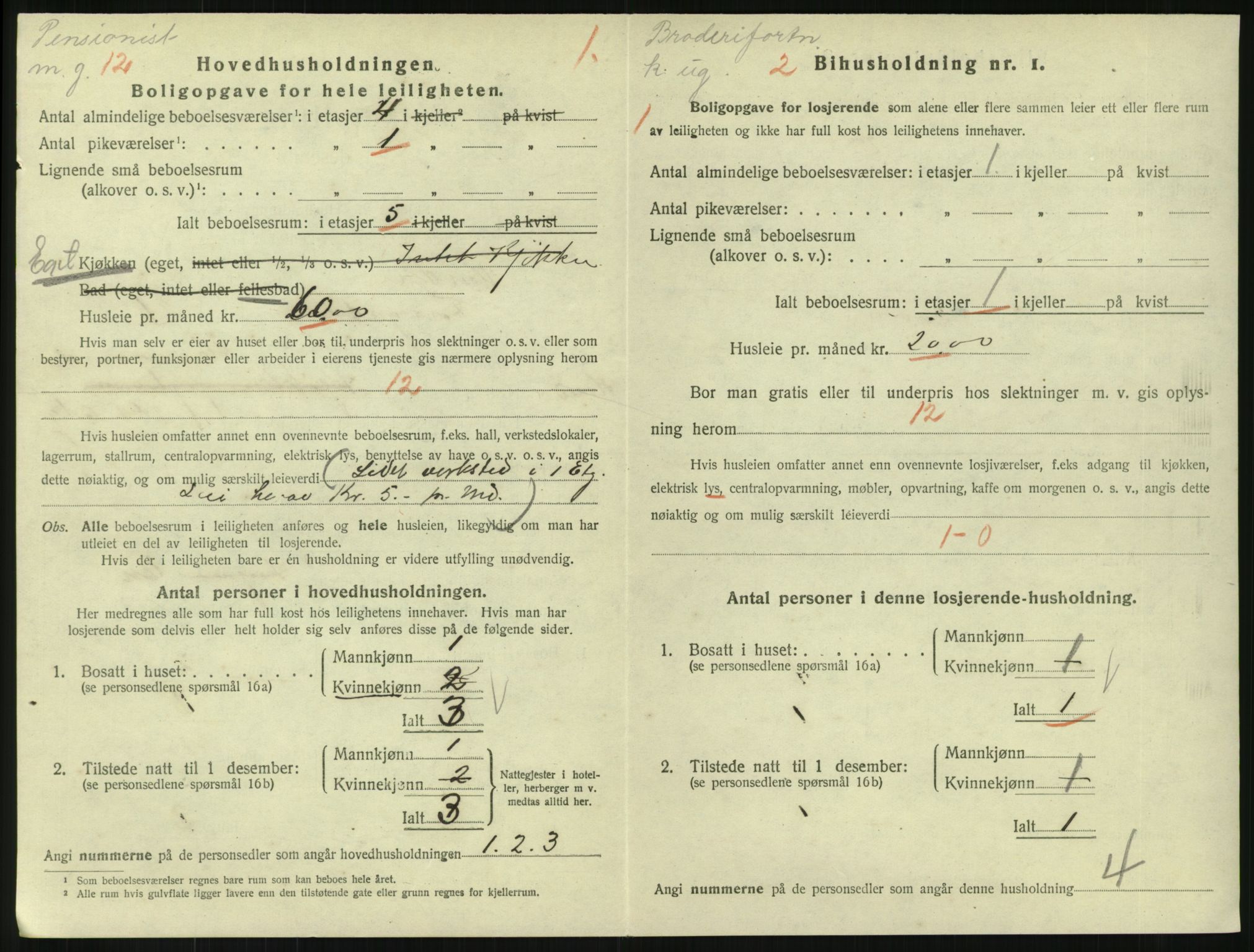 SAKO, 1920 census for Horten, 1920, p. 3528