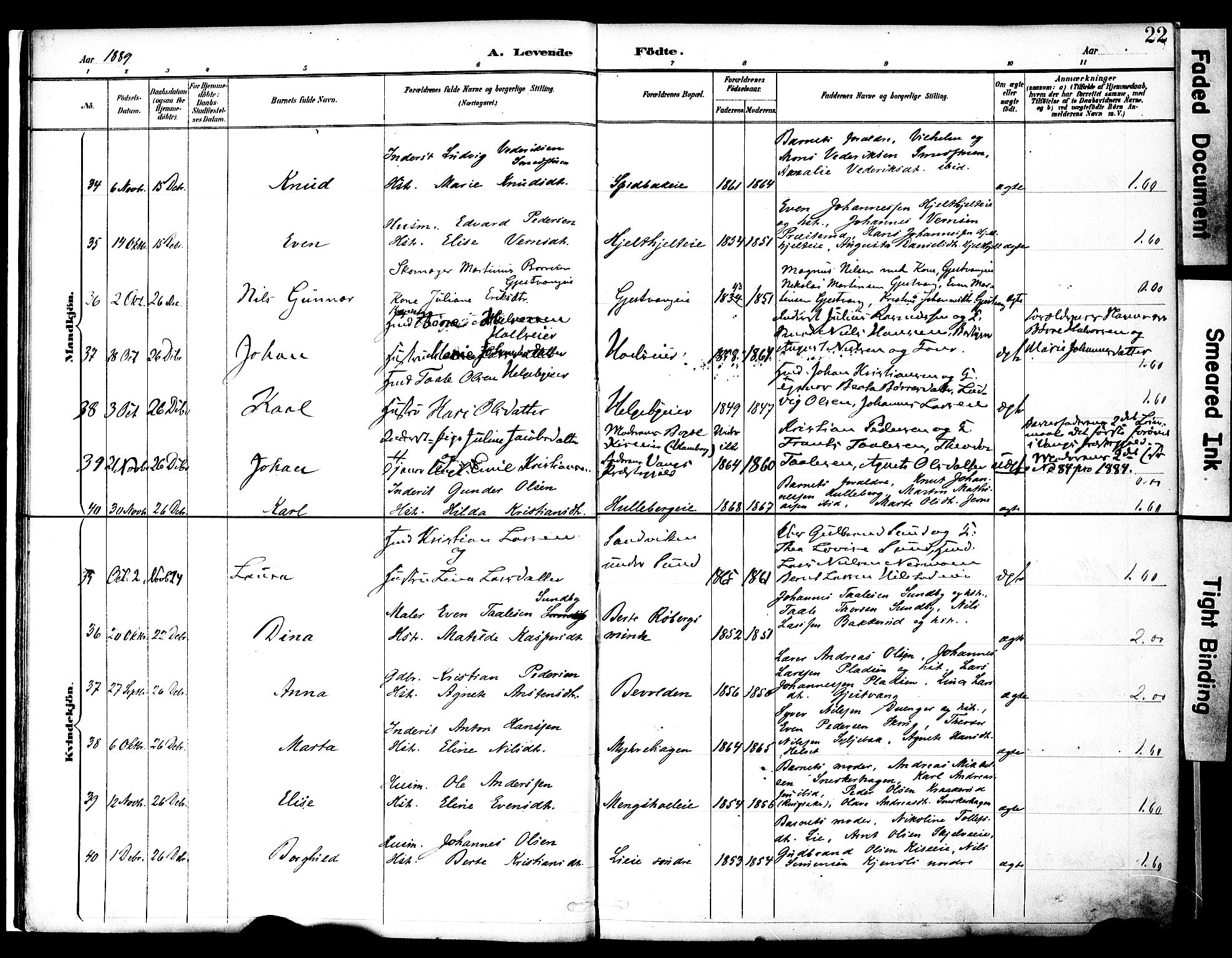 Nes prestekontor, Hedmark, SAH/PREST-020/K/Ka/L0009: Parish register (official) no. 9, 1887-1905, p. 22
