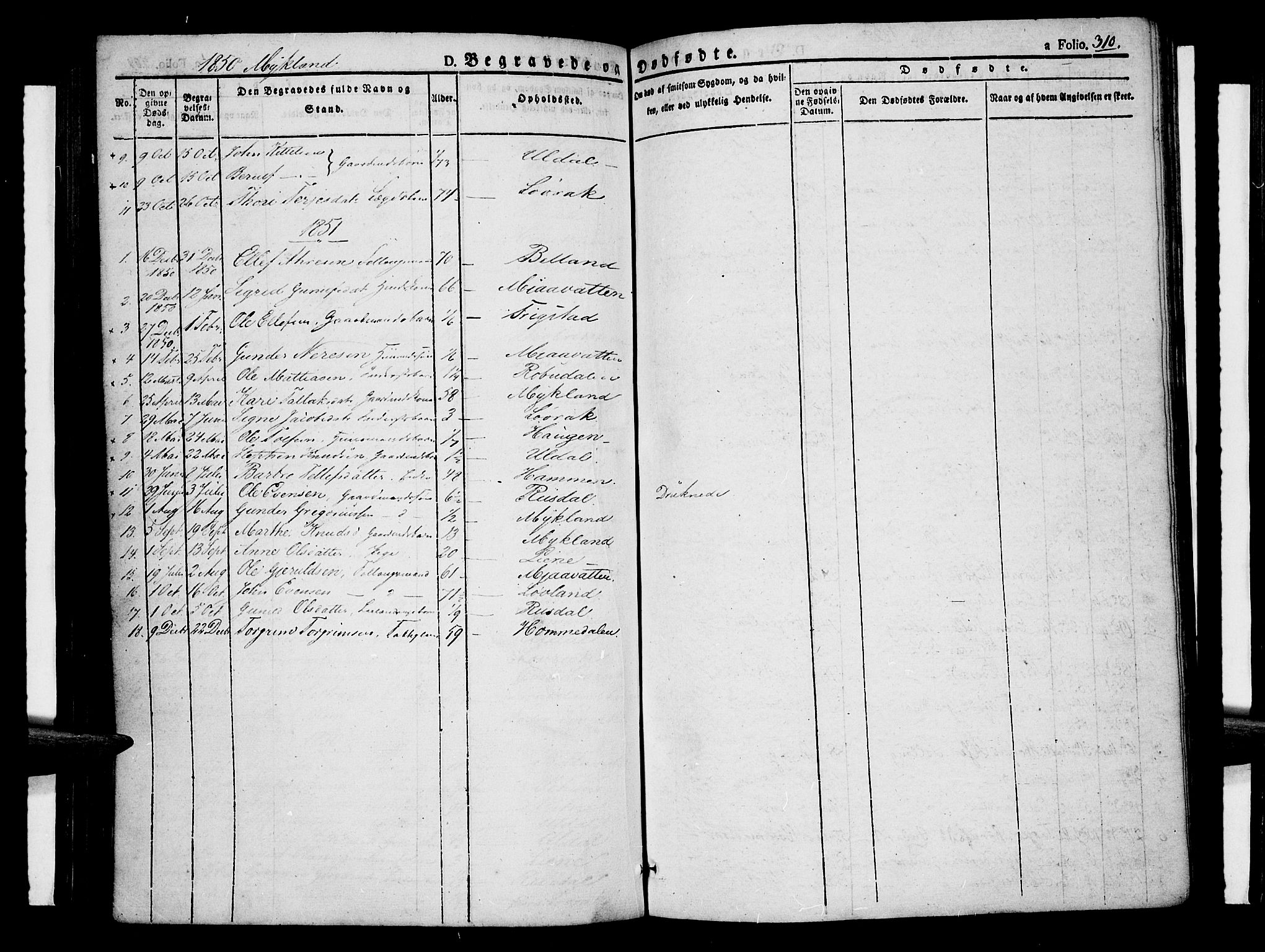 Åmli sokneprestkontor, SAK/1111-0050/F/Fa/Fac/L0007: Parish register (official) no. A 7 /2, 1829-1851, p. 310