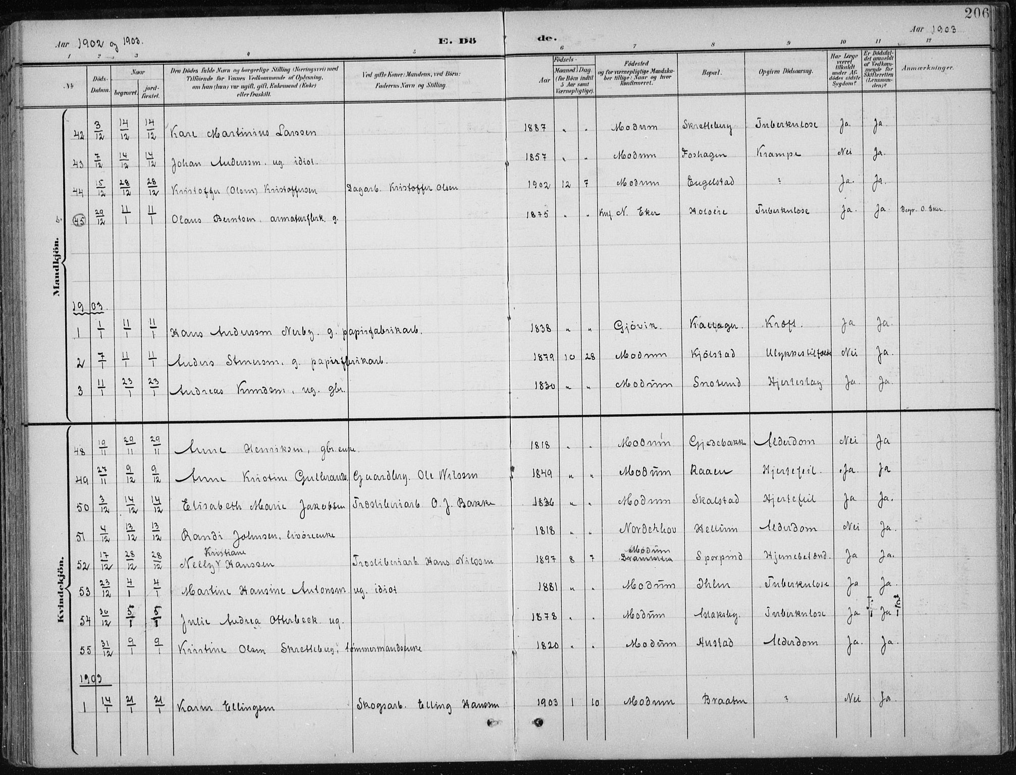 Modum kirkebøker, AV/SAKO-A-234/F/Fa/L0013: Parish register (official) no. 13, 1899-1907, p. 206