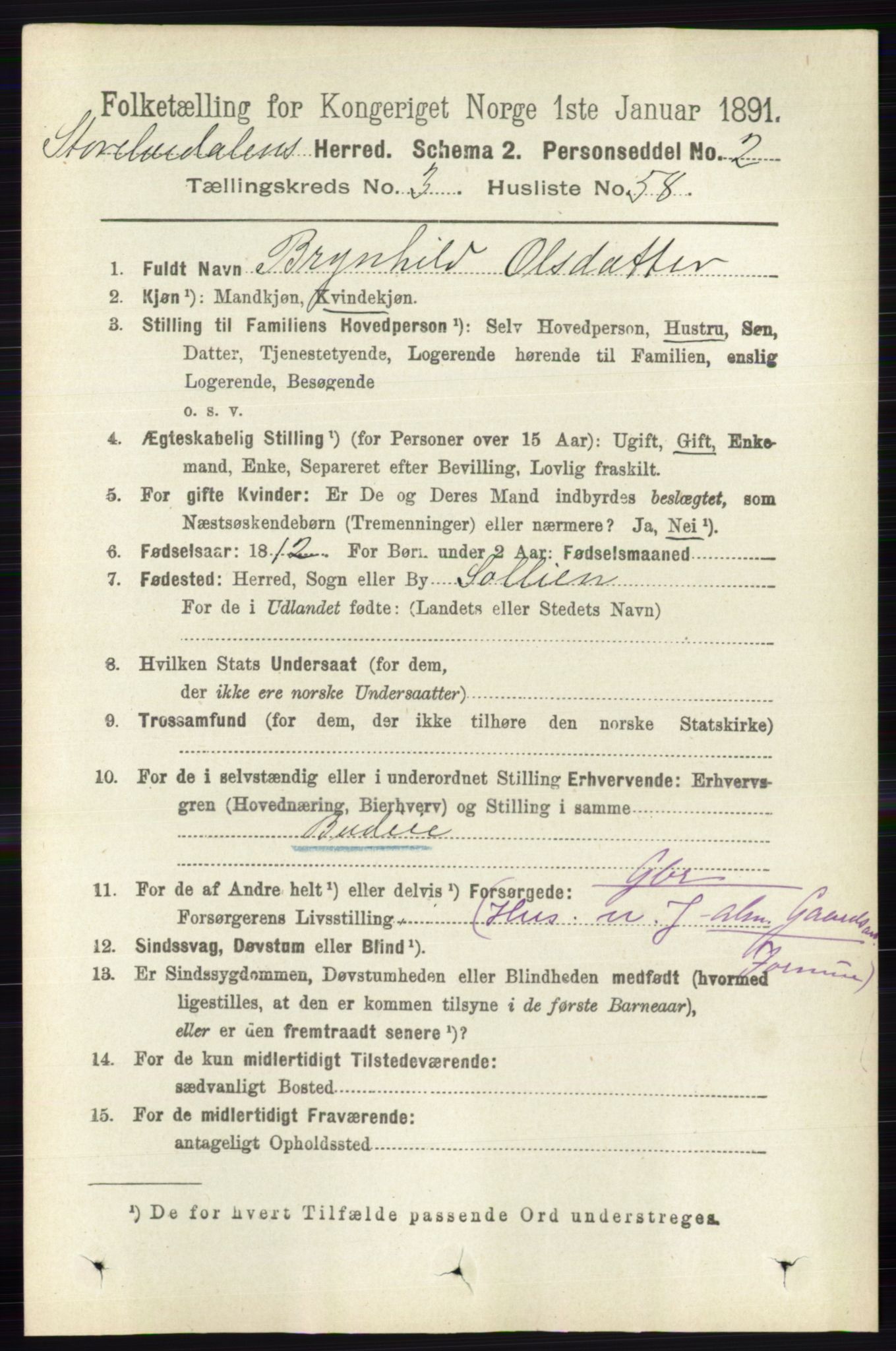 RA, 1891 census for 0430 Stor-Elvdal, 1891, p. 1253