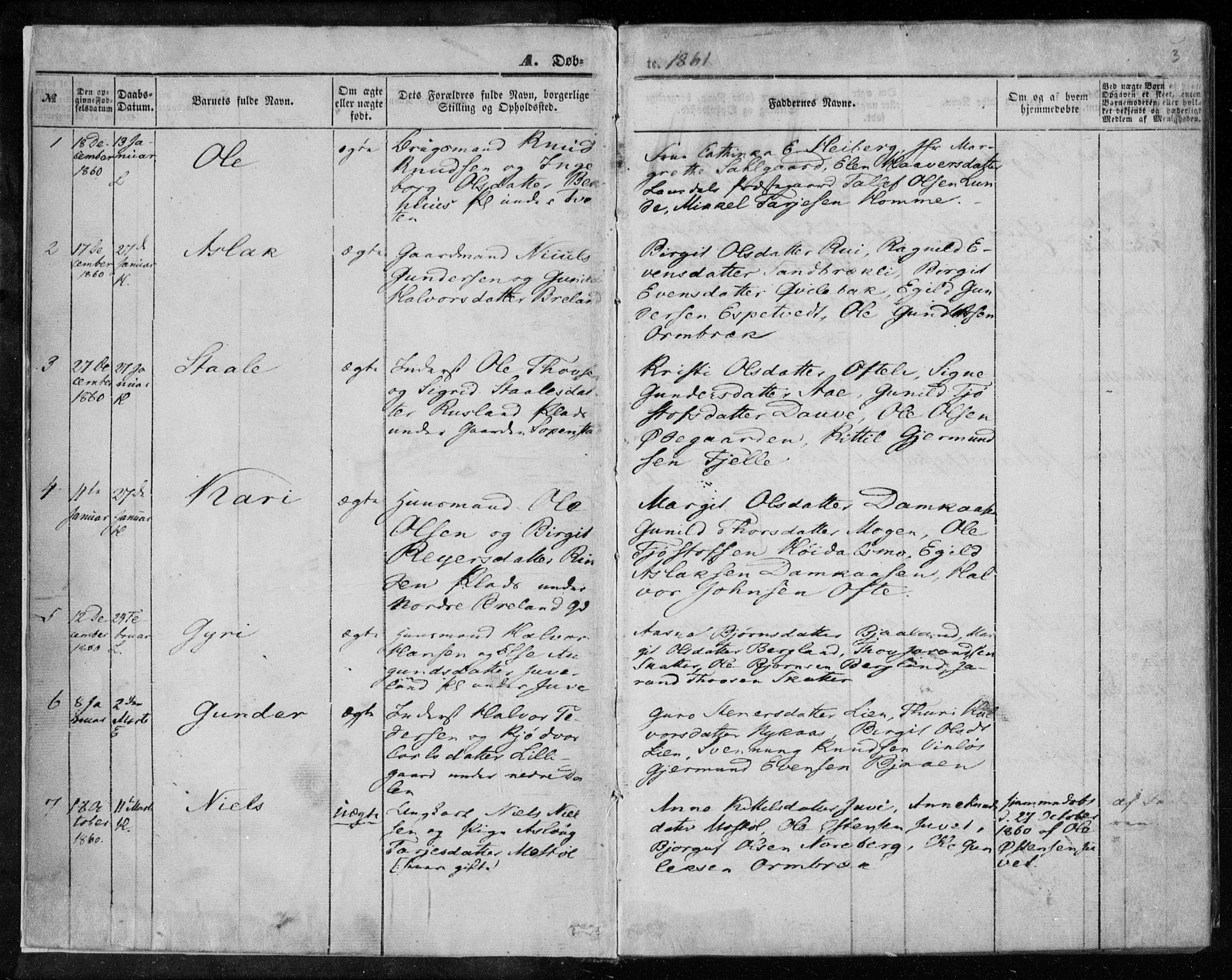 Lårdal kirkebøker, AV/SAKO-A-284/F/Fa/L0006: Parish register (official) no. I 6, 1861-1886, p. 3