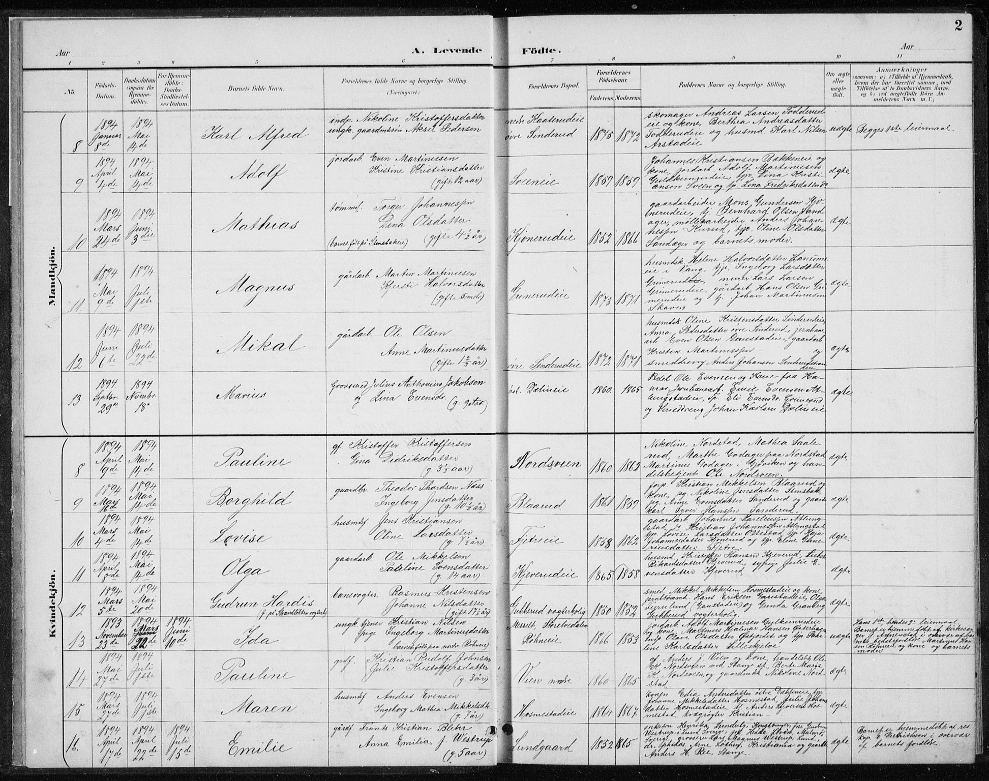 Stange prestekontor, AV/SAH-PREST-002/L/L0010: Parish register (copy) no. 10, 1894-1905, p. 2