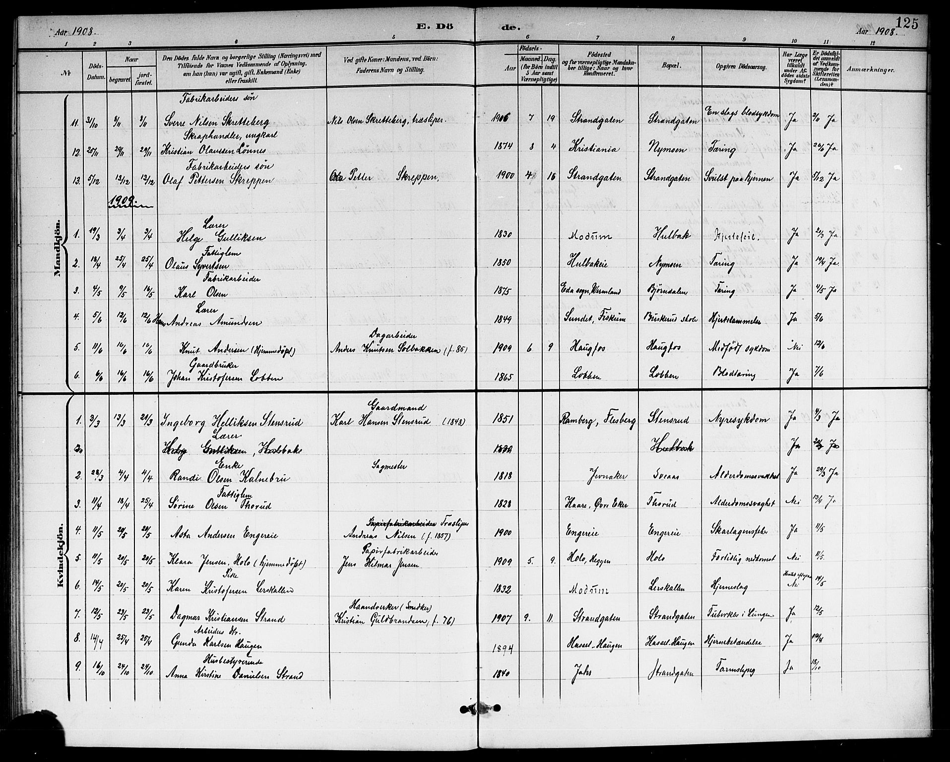 Modum kirkebøker, AV/SAKO-A-234/G/Gc/L0001: Parish register (copy) no. III 1, 1901-1919, p. 125