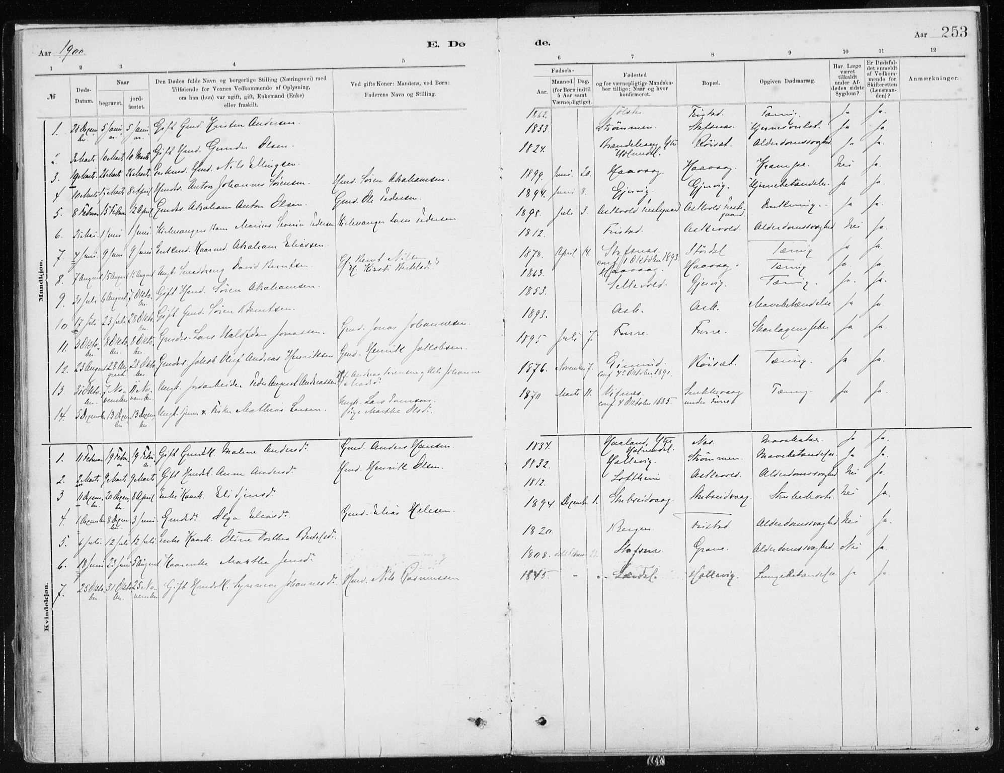 Askvoll sokneprestembete, SAB/A-79501/H/Haa/Haab/L0002: Parish register (official) no. B 2, 1879-1909, p. 253
