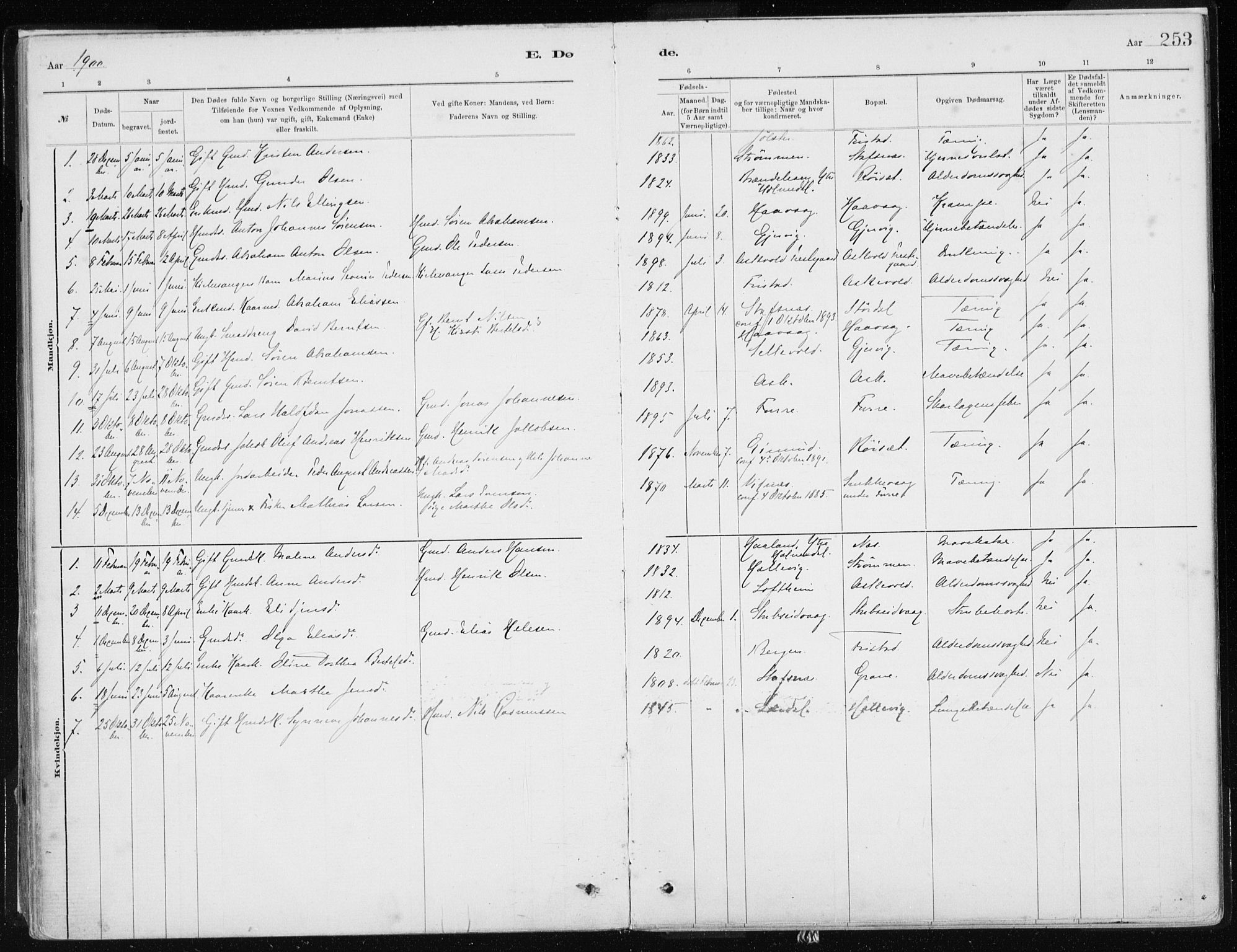 Askvoll sokneprestembete, AV/SAB-A-79501/H/Haa/Haab/L0002: Parish register (official) no. B 2, 1879-1909, p. 253