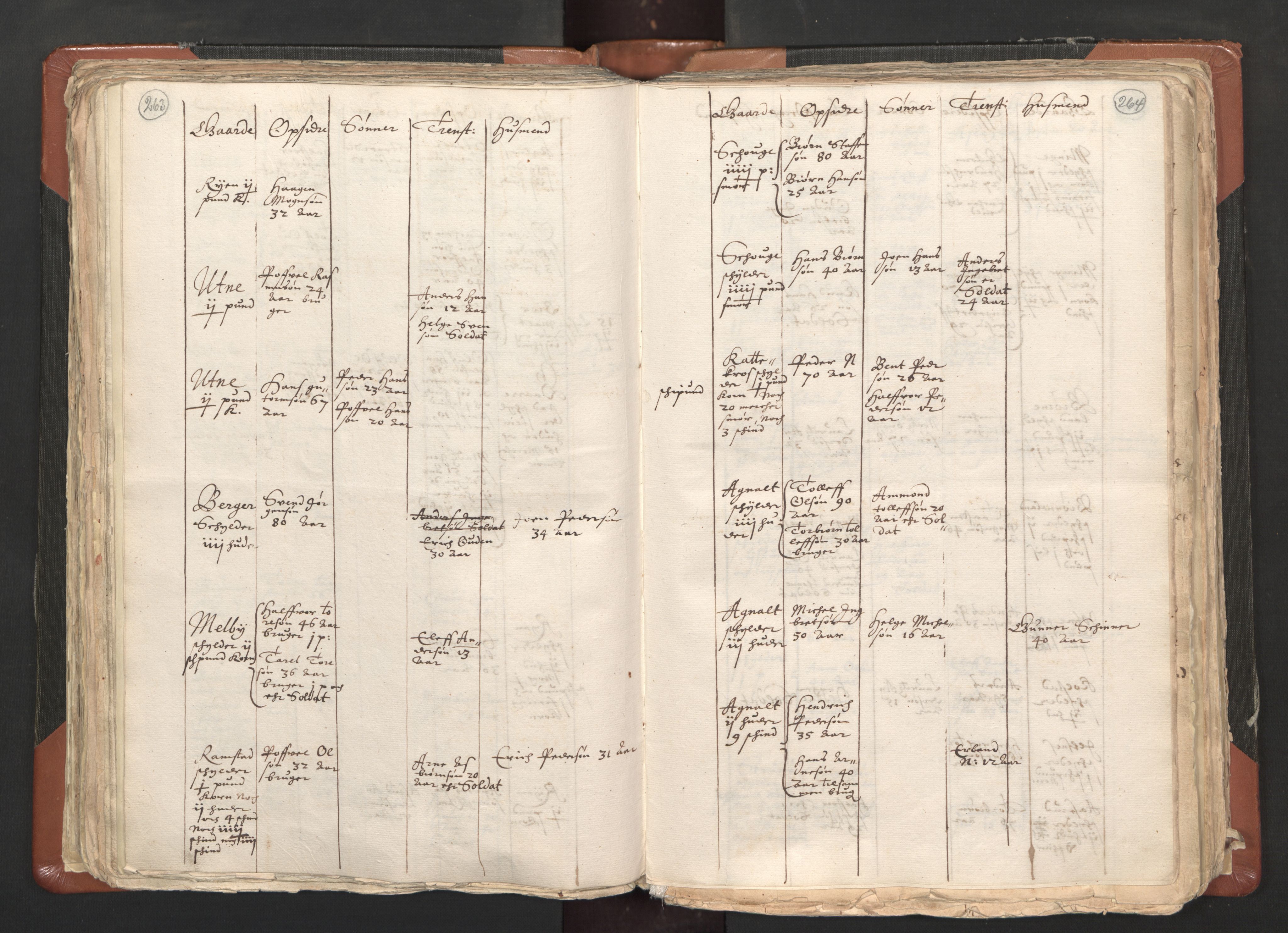 RA, Vicar's Census 1664-1666, no. 1: Nedre Borgesyssel deanery, 1664-1666, p. 263-264