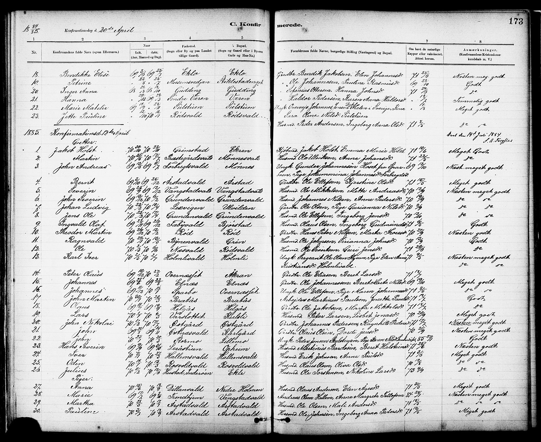 Ministerialprotokoller, klokkerbøker og fødselsregistre - Nord-Trøndelag, SAT/A-1458/724/L0267: Parish register (copy) no. 724C03, 1879-1898, p. 173