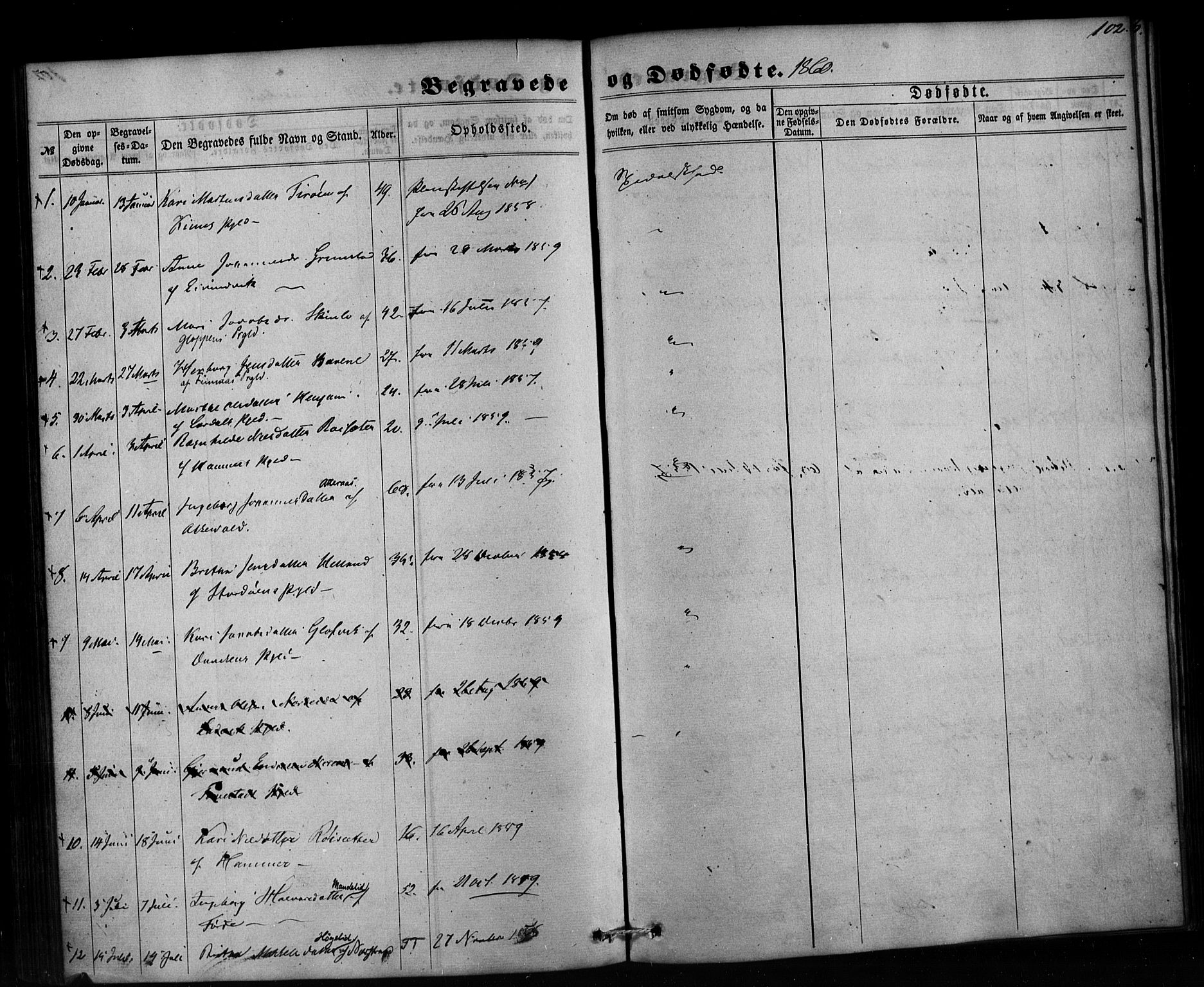 Pleiestiftelsen nr. 1 for spedalske sokneprestembete*, SAB/-: Parish register (official) no. A 1, 1859-1886, p. 102