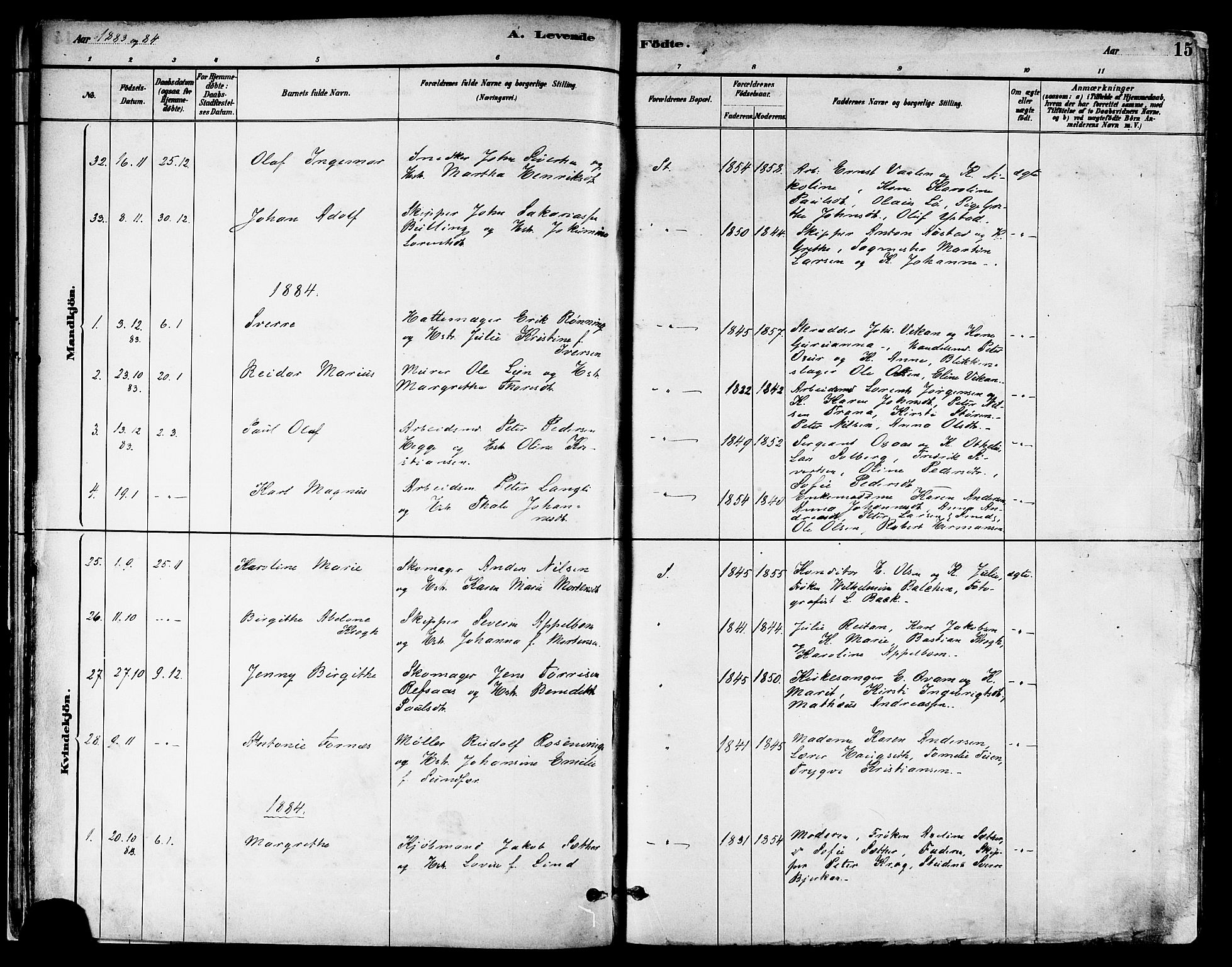 Ministerialprotokoller, klokkerbøker og fødselsregistre - Nord-Trøndelag, SAT/A-1458/739/L0371: Parish register (official) no. 739A03, 1881-1895, p. 15