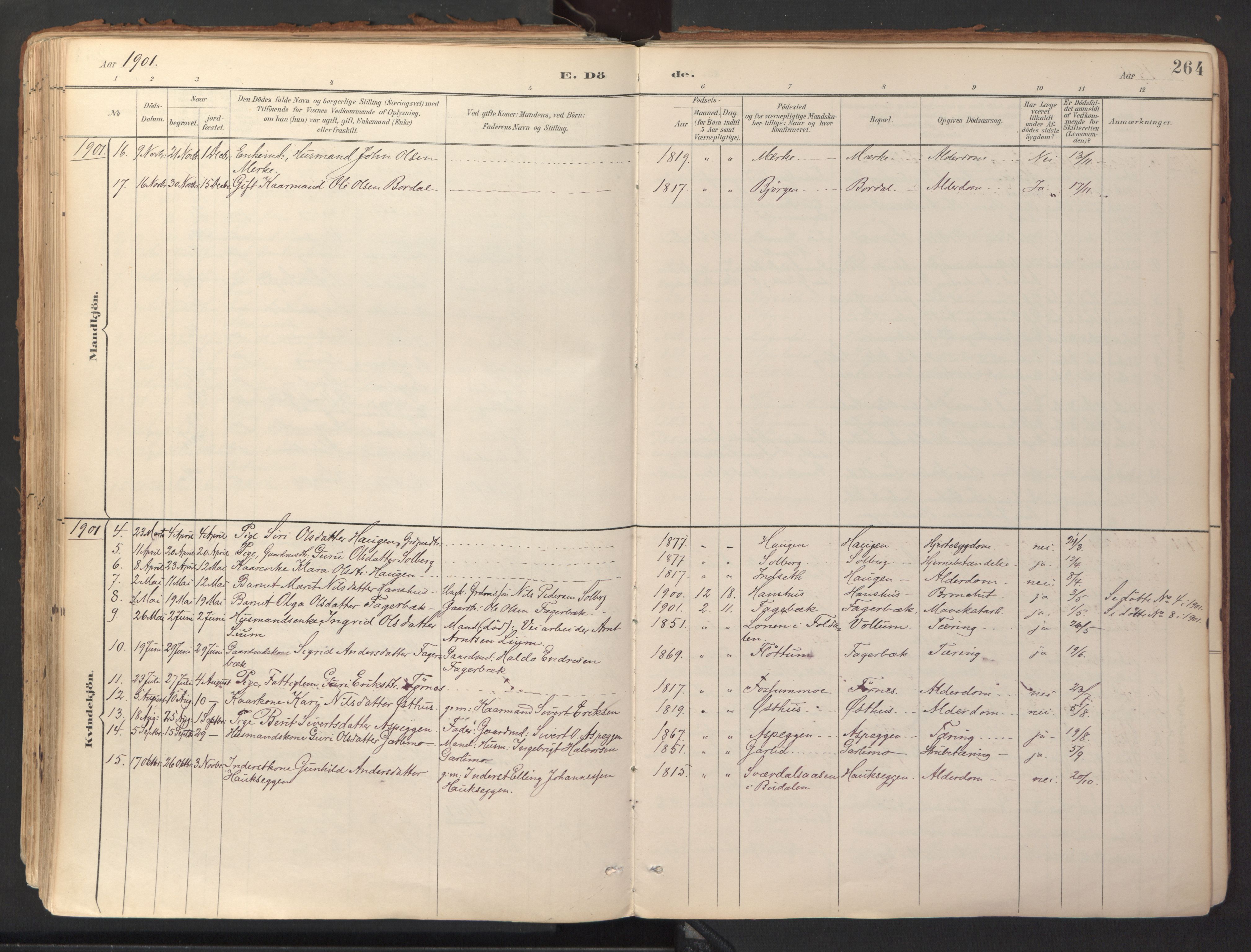 Ministerialprotokoller, klokkerbøker og fødselsregistre - Sør-Trøndelag, SAT/A-1456/689/L1041: Parish register (official) no. 689A06, 1891-1923, p. 264