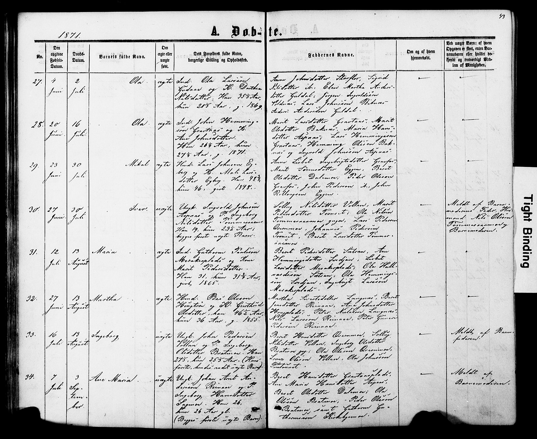 Ministerialprotokoller, klokkerbøker og fødselsregistre - Nord-Trøndelag, SAT/A-1458/706/L0049: Parish register (copy) no. 706C01, 1864-1895, p. 43
