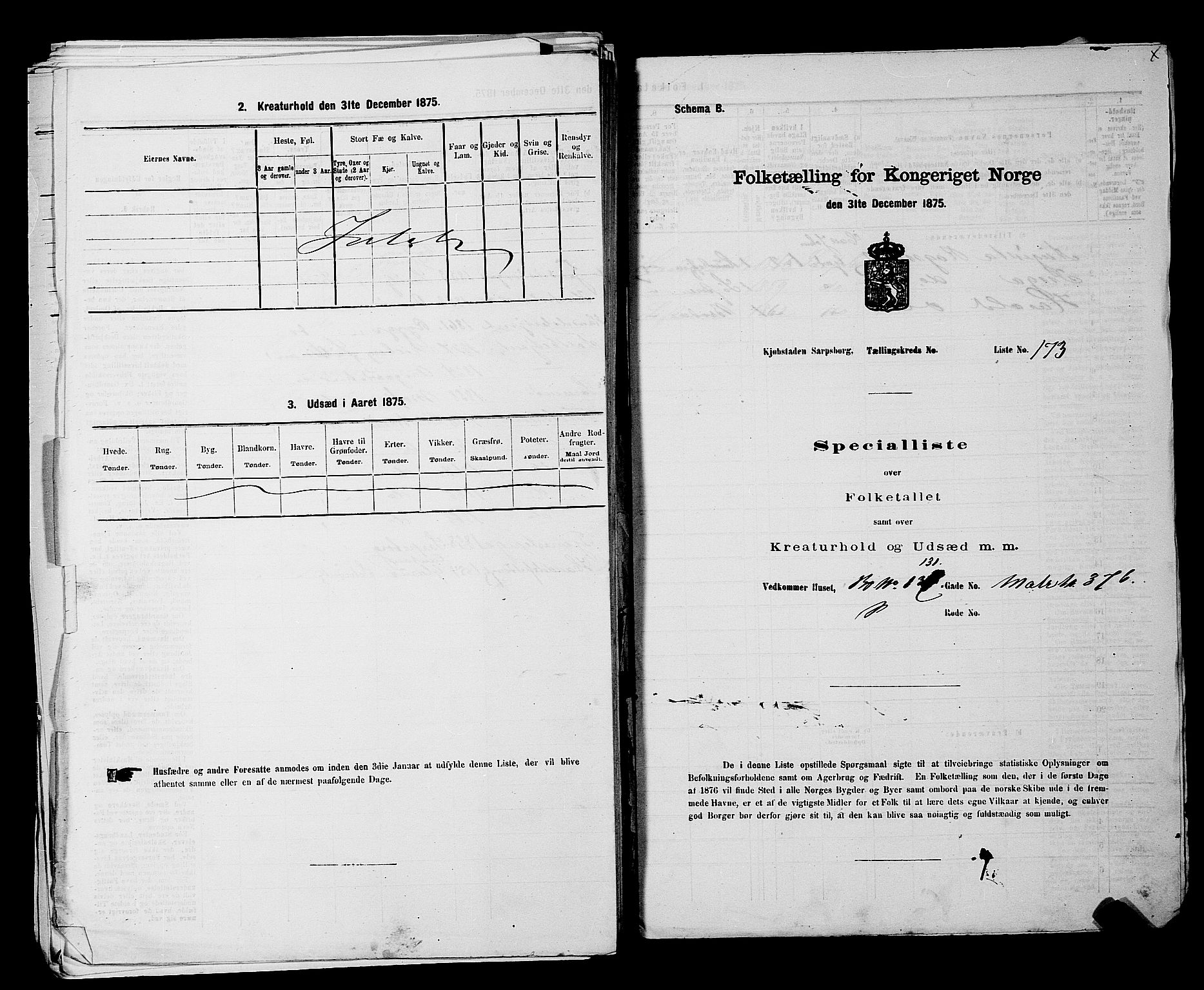 RA, 1875 census for 0102P Sarpsborg, 1875, p. 405