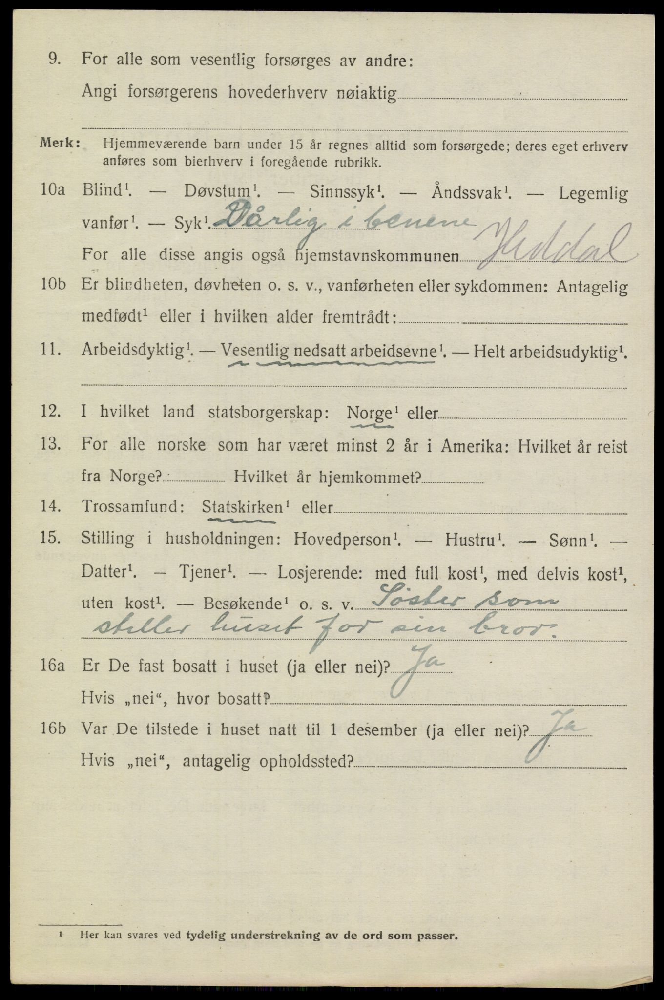 SAKO, 1920 census for Heddal, 1920, p. 4569