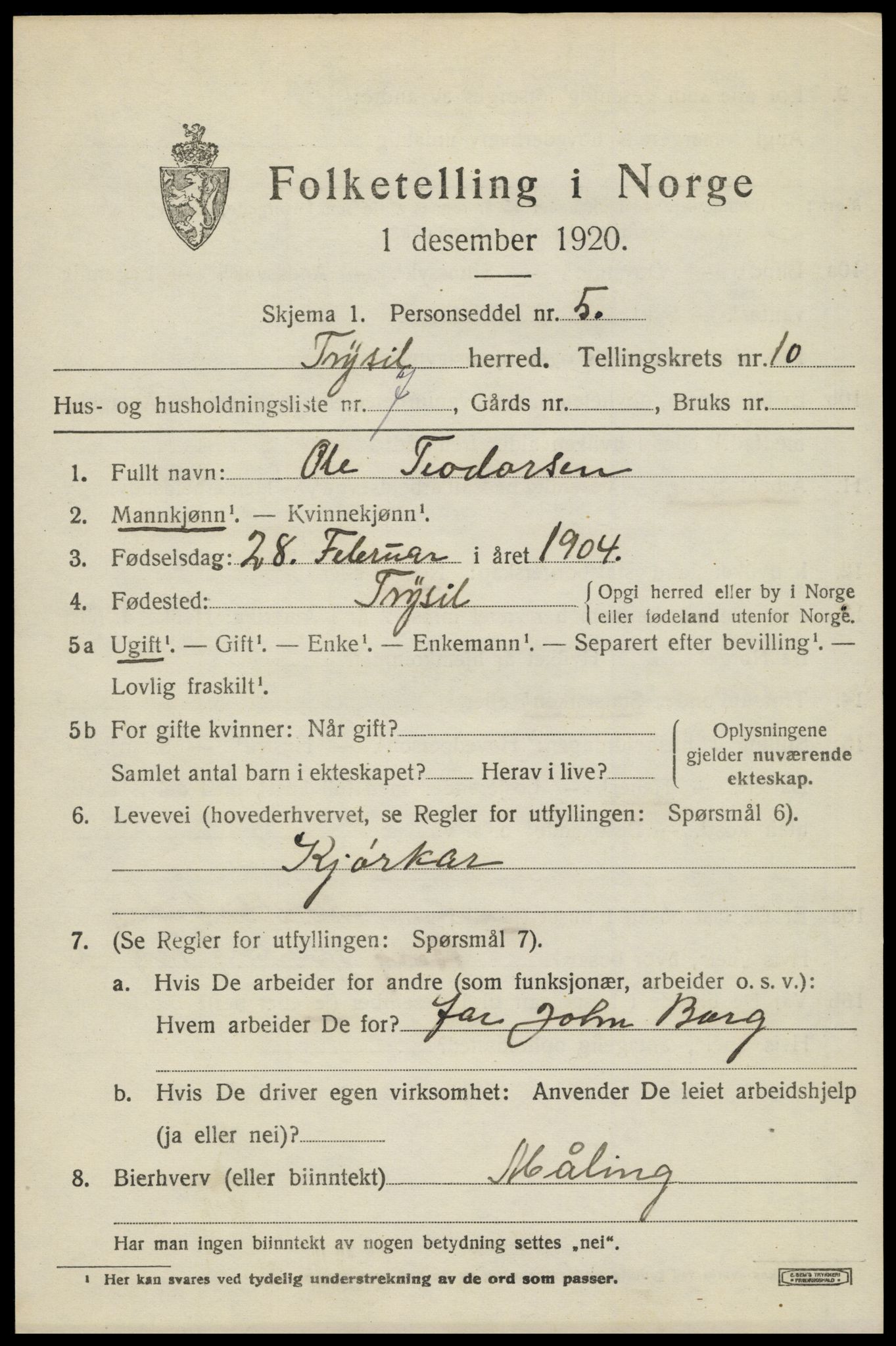 SAH, 1920 census for Trysil, 1920, p. 6941