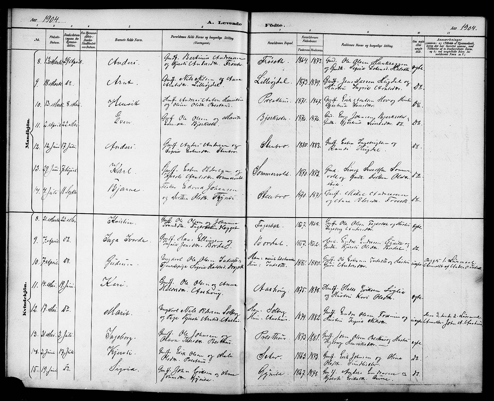 Ministerialprotokoller, klokkerbøker og fødselsregistre - Sør-Trøndelag, AV/SAT-A-1456/689/L1044: Parish register (copy) no. 689C03, 1893-1922