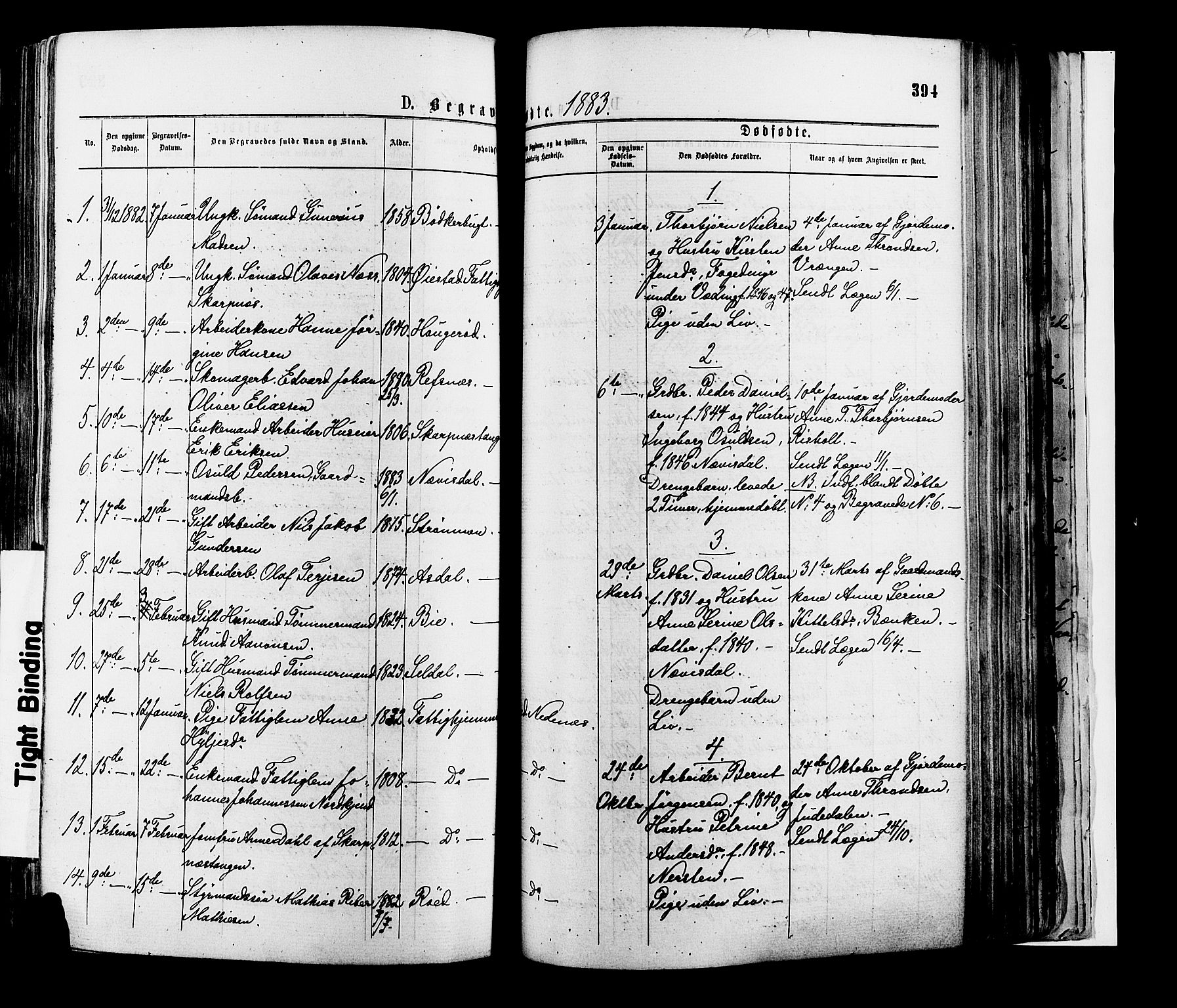 Øyestad sokneprestkontor, SAK/1111-0049/F/Fa/L0016: Parish register (official) no. A 16, 1874-1886, p. 394