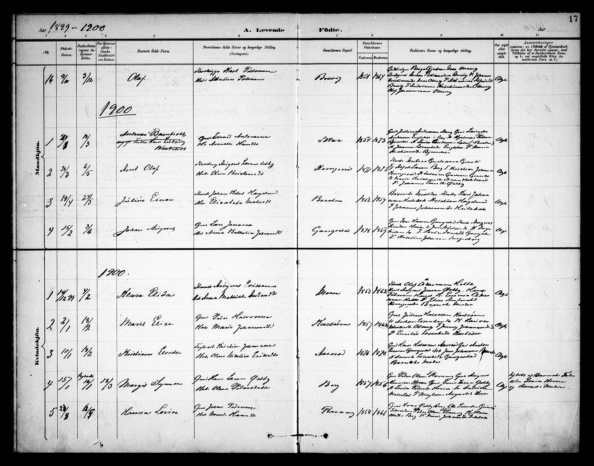 Skjeberg prestekontor Kirkebøker, AV/SAO-A-10923/F/Fb/L0002: Parish register (official) no. II 2, 1895-1910, p. 17