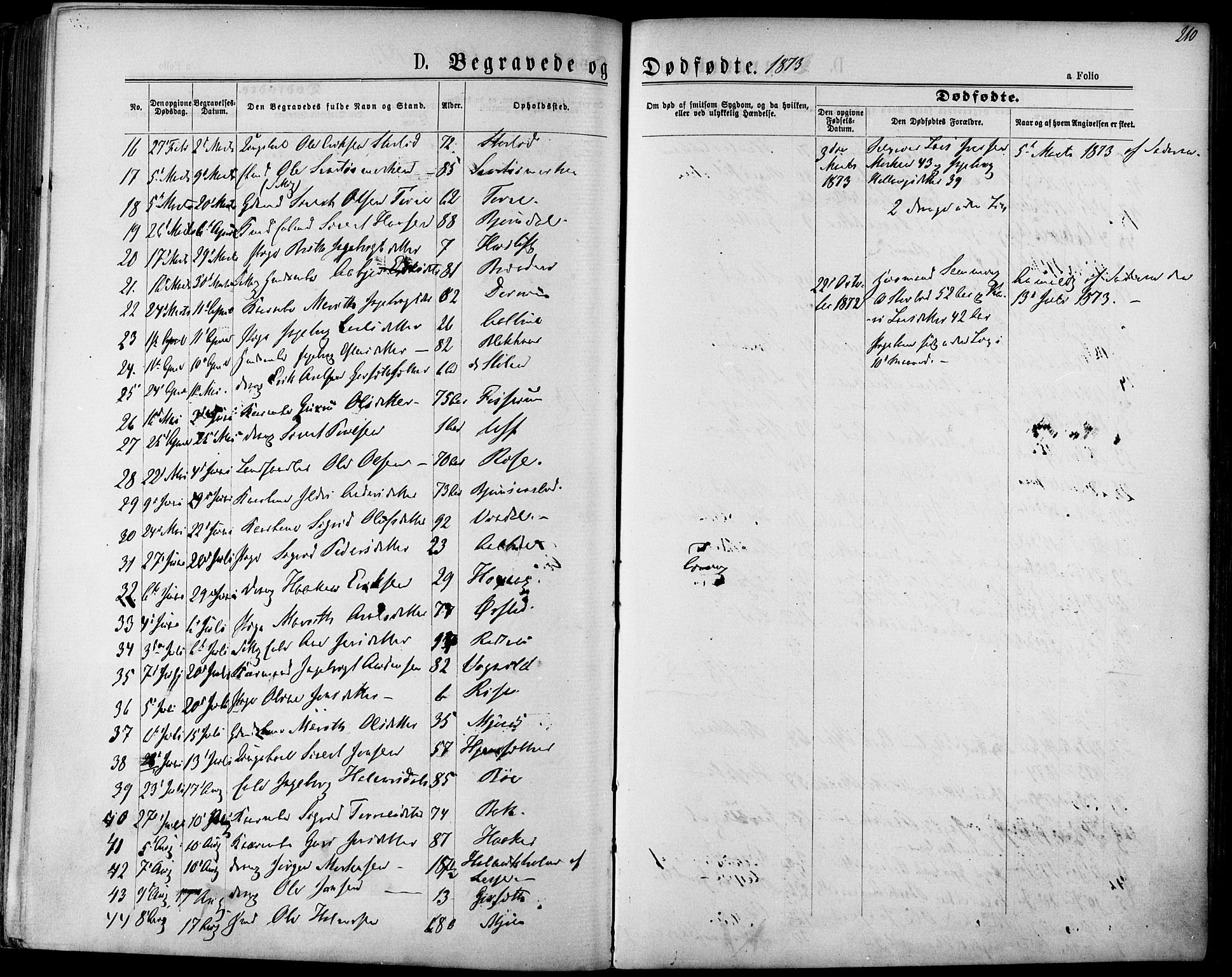 Ministerialprotokoller, klokkerbøker og fødselsregistre - Sør-Trøndelag, AV/SAT-A-1456/678/L0900: Parish register (official) no. 678A09, 1872-1881, p. 210