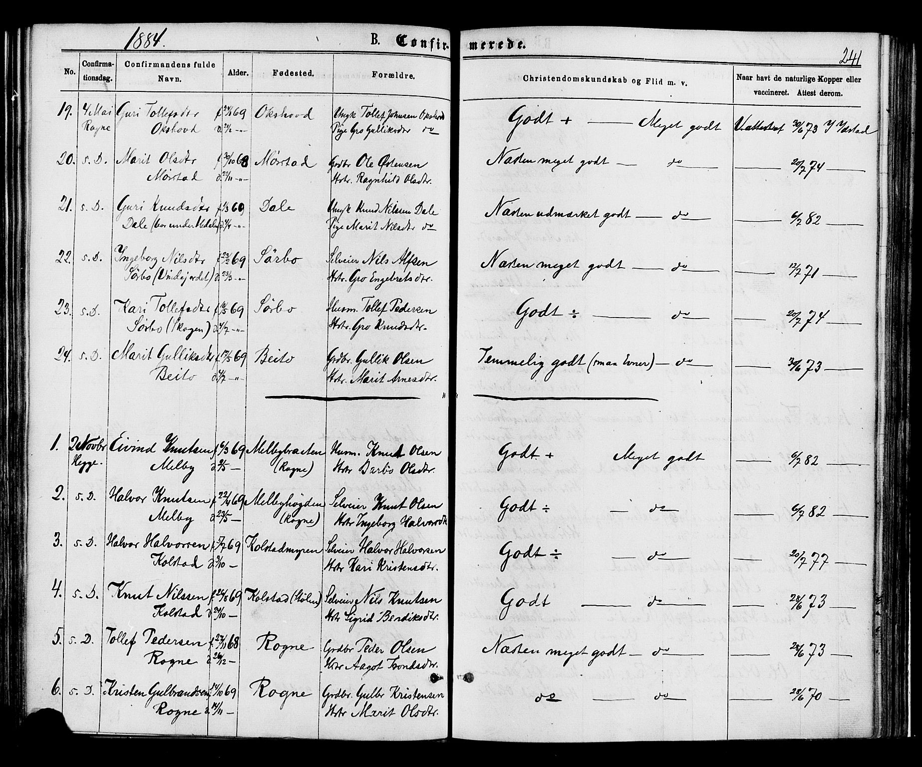 Øystre Slidre prestekontor, AV/SAH-PREST-138/H/Ha/Haa/L0002: Parish register (official) no. 2, 1874-1886, p. 241