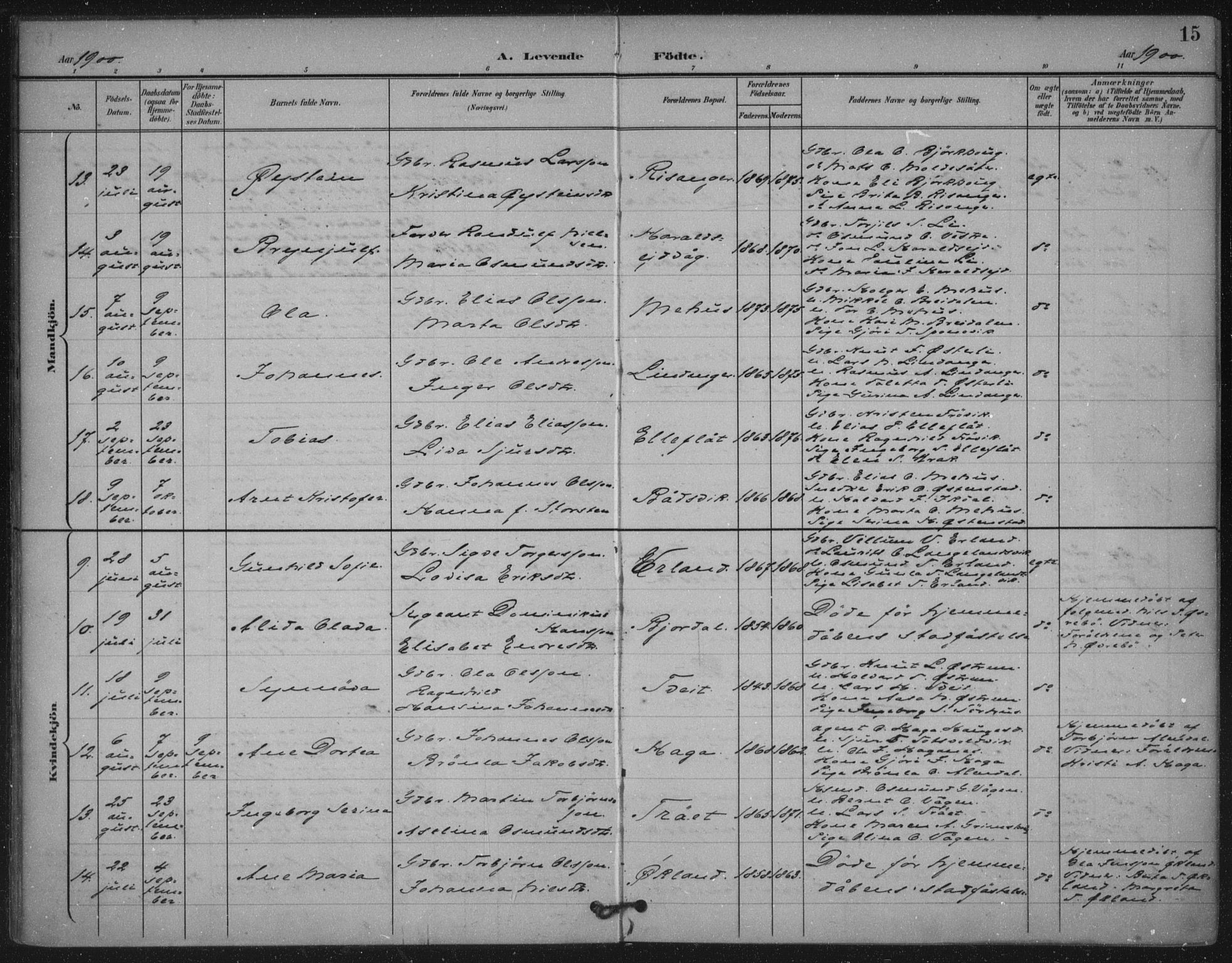 Skjold sokneprestkontor, AV/SAST-A-101847/H/Ha/Haa/L0011: Parish register (official) no. A 11, 1897-1914, p. 15