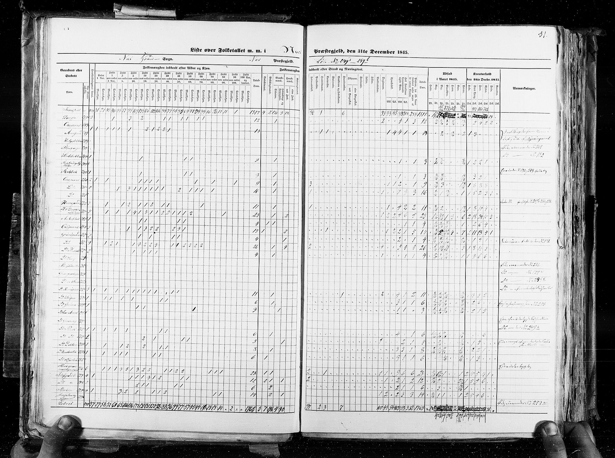 RA, Census 1845, vol. 4: Buskerud amt og Jarlsberg og Larvik amt, 1845, p. 51