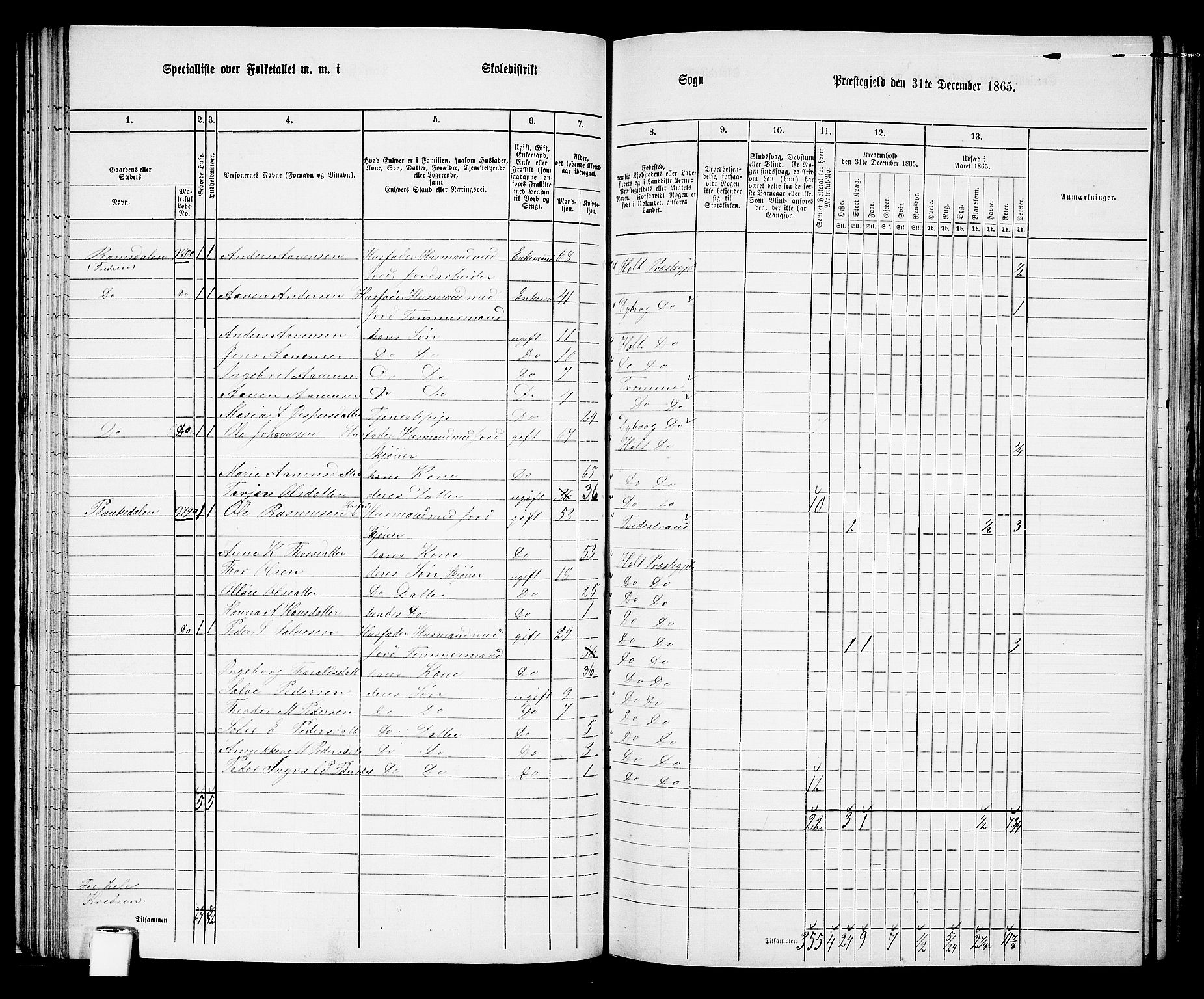 RA, 1865 census for Holt/Holt, 1865, p. 49