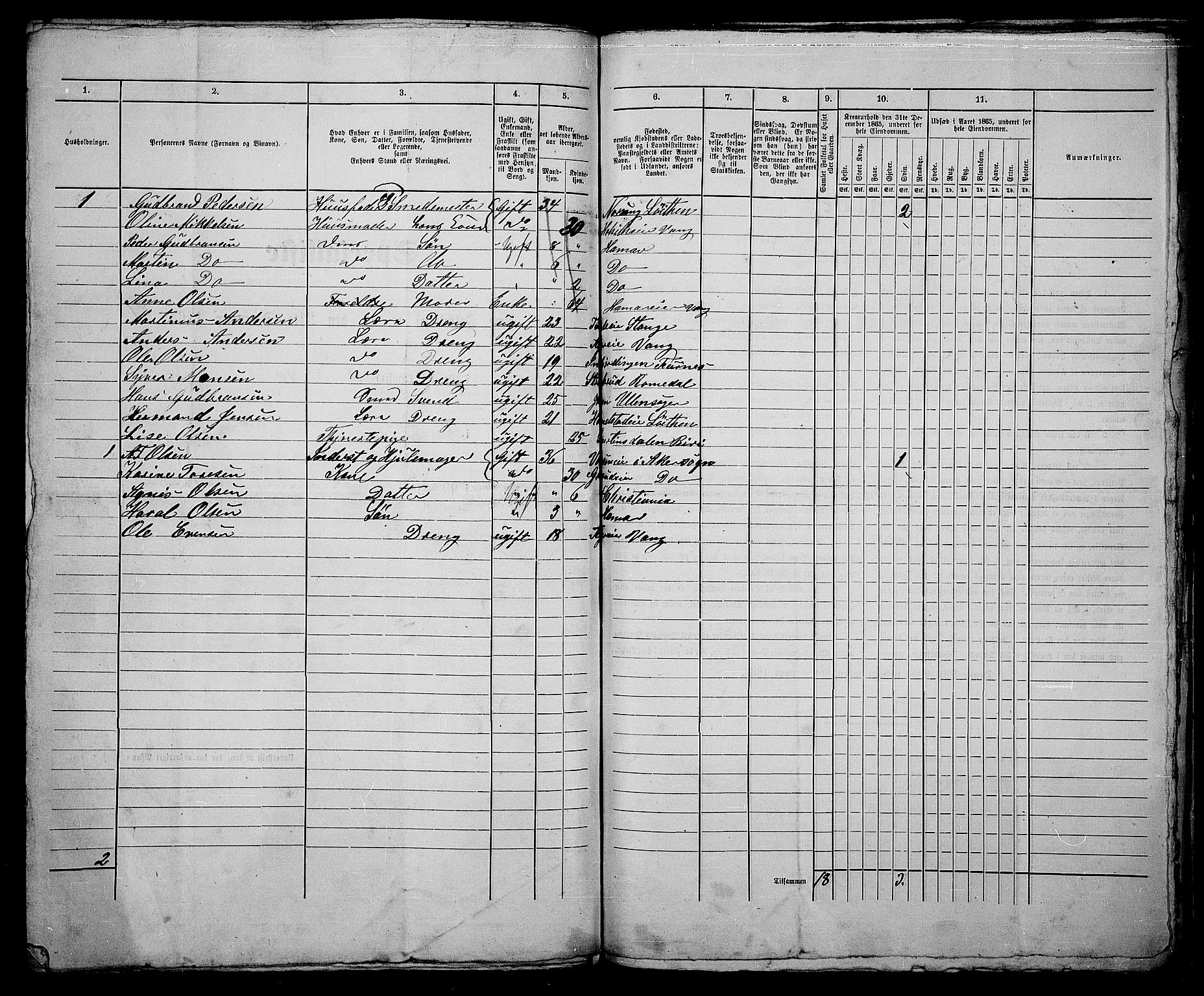 RA, 1865 census for Vang/Hamar, 1865, p. 216