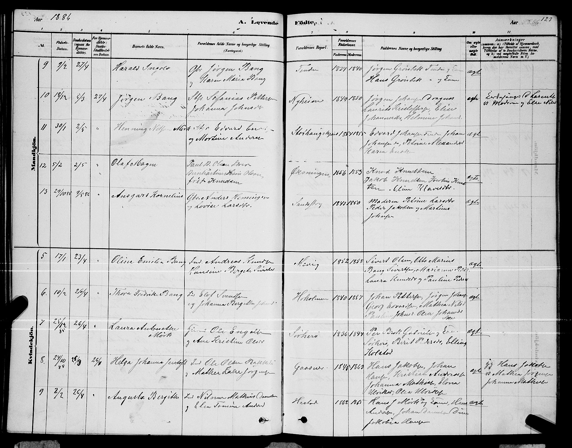 Ministerialprotokoller, klokkerbøker og fødselsregistre - Nordland, AV/SAT-A-1459/834/L0513: Parish register (copy) no. 834C04, 1877-1892, p. 123