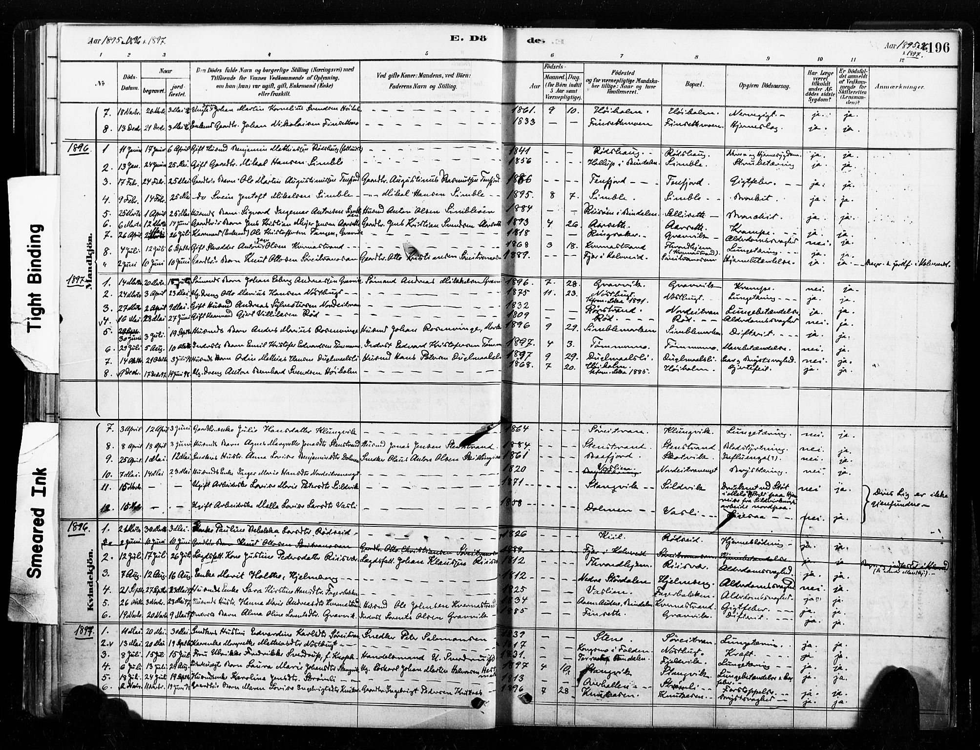 Ministerialprotokoller, klokkerbøker og fødselsregistre - Nord-Trøndelag, SAT/A-1458/789/L0705: Parish register (official) no. 789A01, 1878-1910, p. 196
