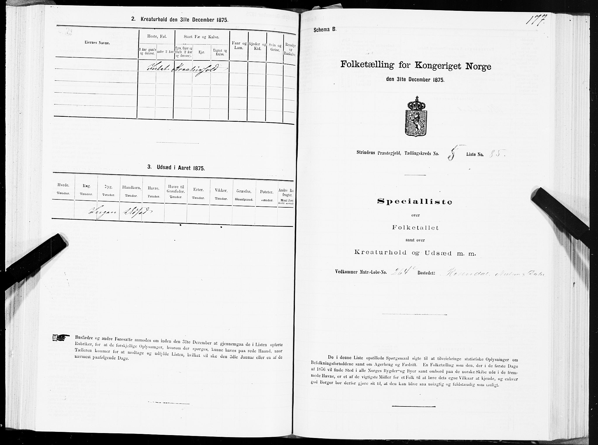 SAT, 1875 census for 1660P Strinda, 1875, p. 3177