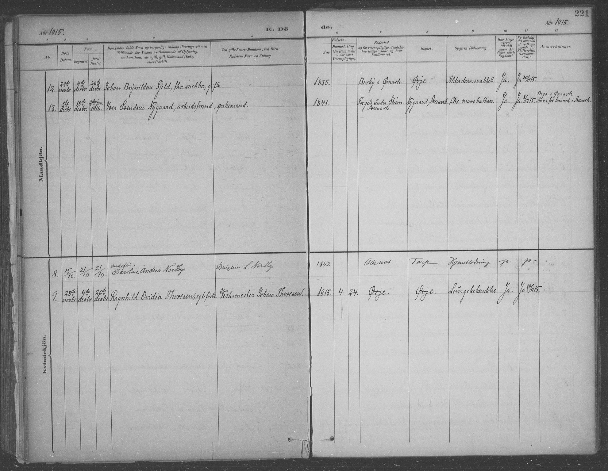 Aremark prestekontor Kirkebøker, SAO/A-10899/F/Fb/L0005: Parish register (official) no. II 5, 1895-1919, p. 221