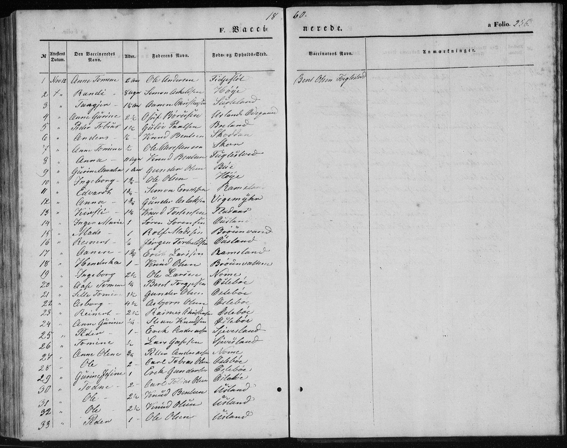 Holum sokneprestkontor, SAK/1111-0022/F/Fb/Fbc/L0002: Parish register (copy) no. B 2, 1860-1882, p. 256