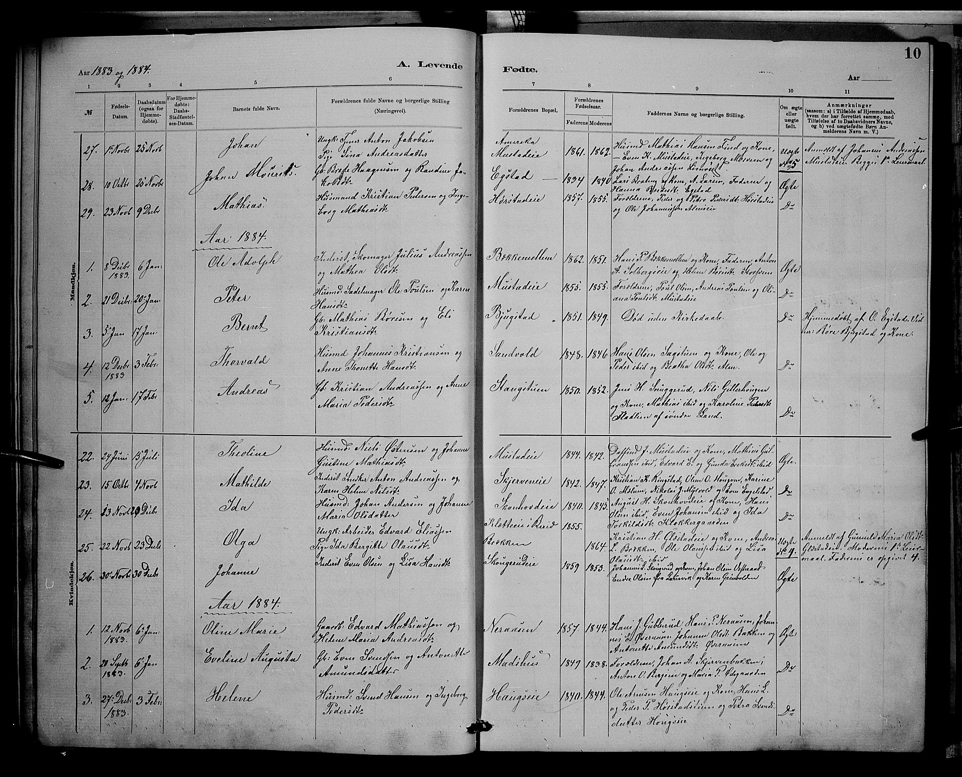 Vardal prestekontor, SAH/PREST-100/H/Ha/Hab/L0008: Parish register (copy) no. 8, 1881-1898, p. 10