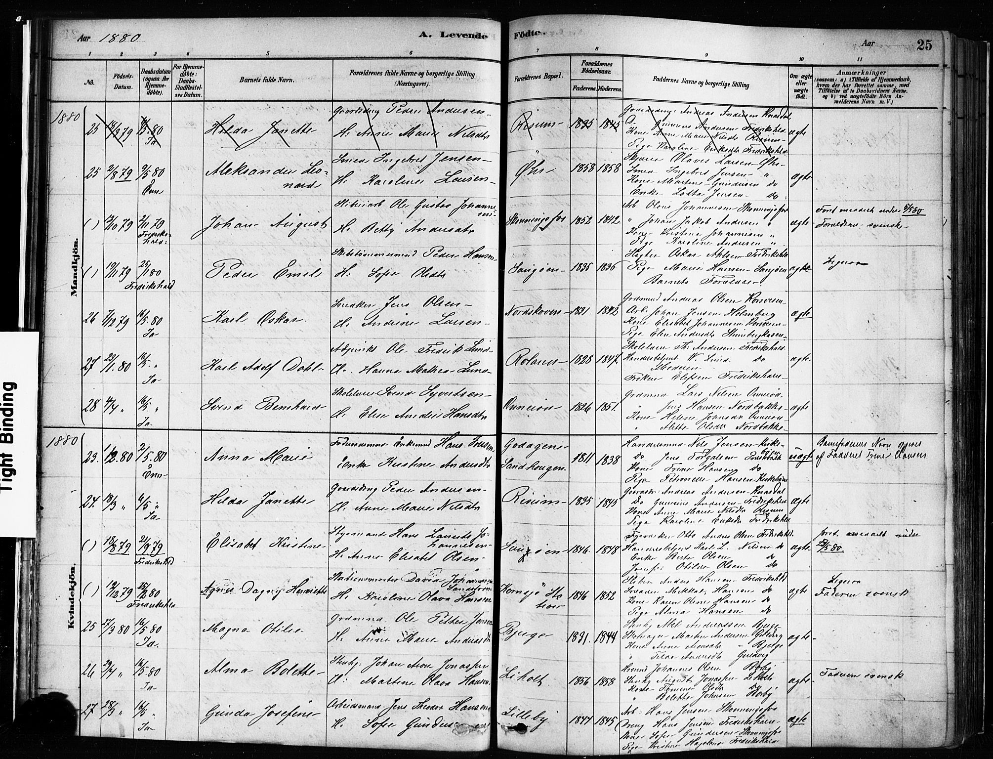 Idd prestekontor Kirkebøker, AV/SAO-A-10911/F/Fc/L0006a: Parish register (official) no. III 6A, 1878-1903, p. 25