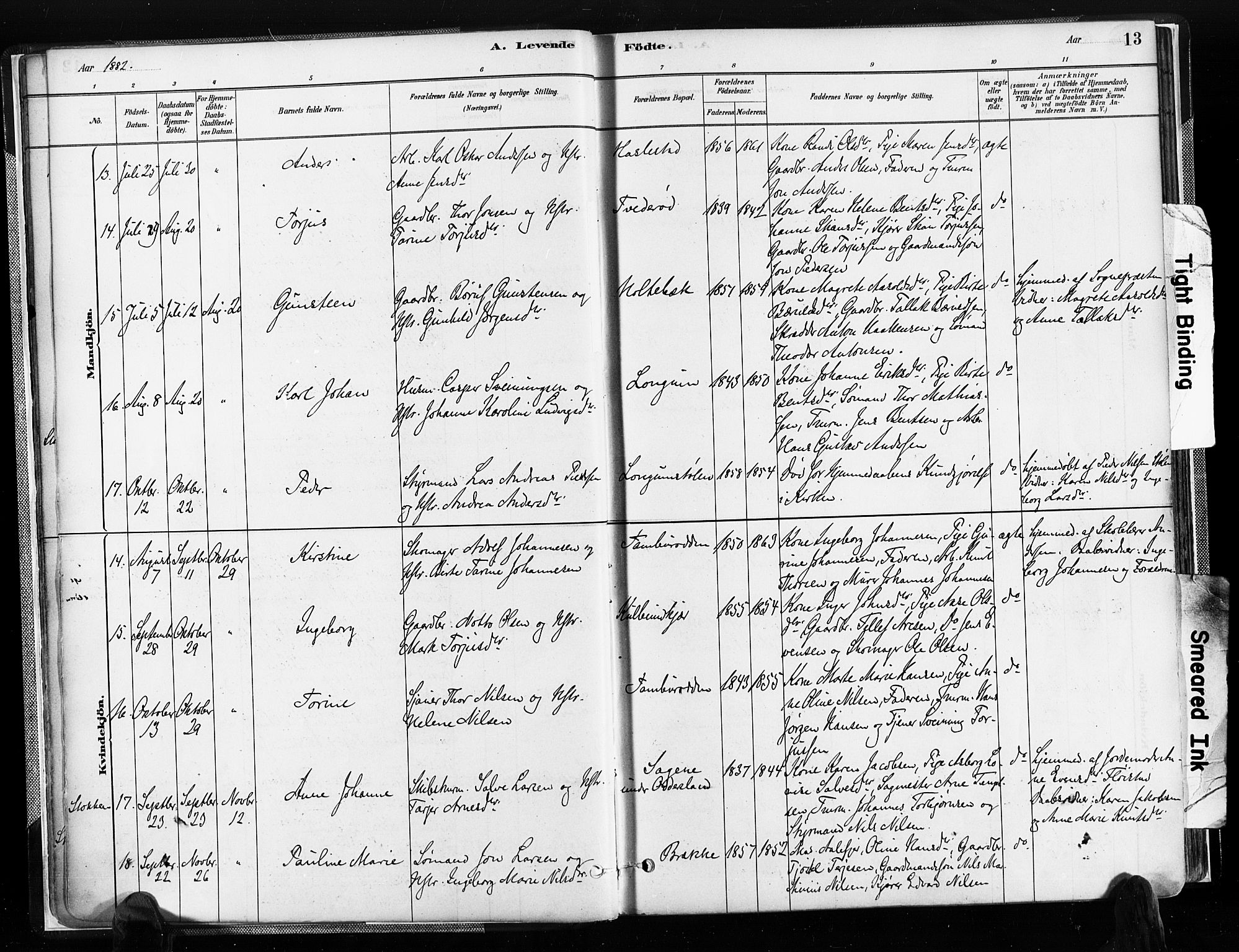 Austre Moland sokneprestkontor, AV/SAK-1111-0001/F/Fa/Faa/L0010: Parish register (official) no. A 10, 1880-1904, p. 13