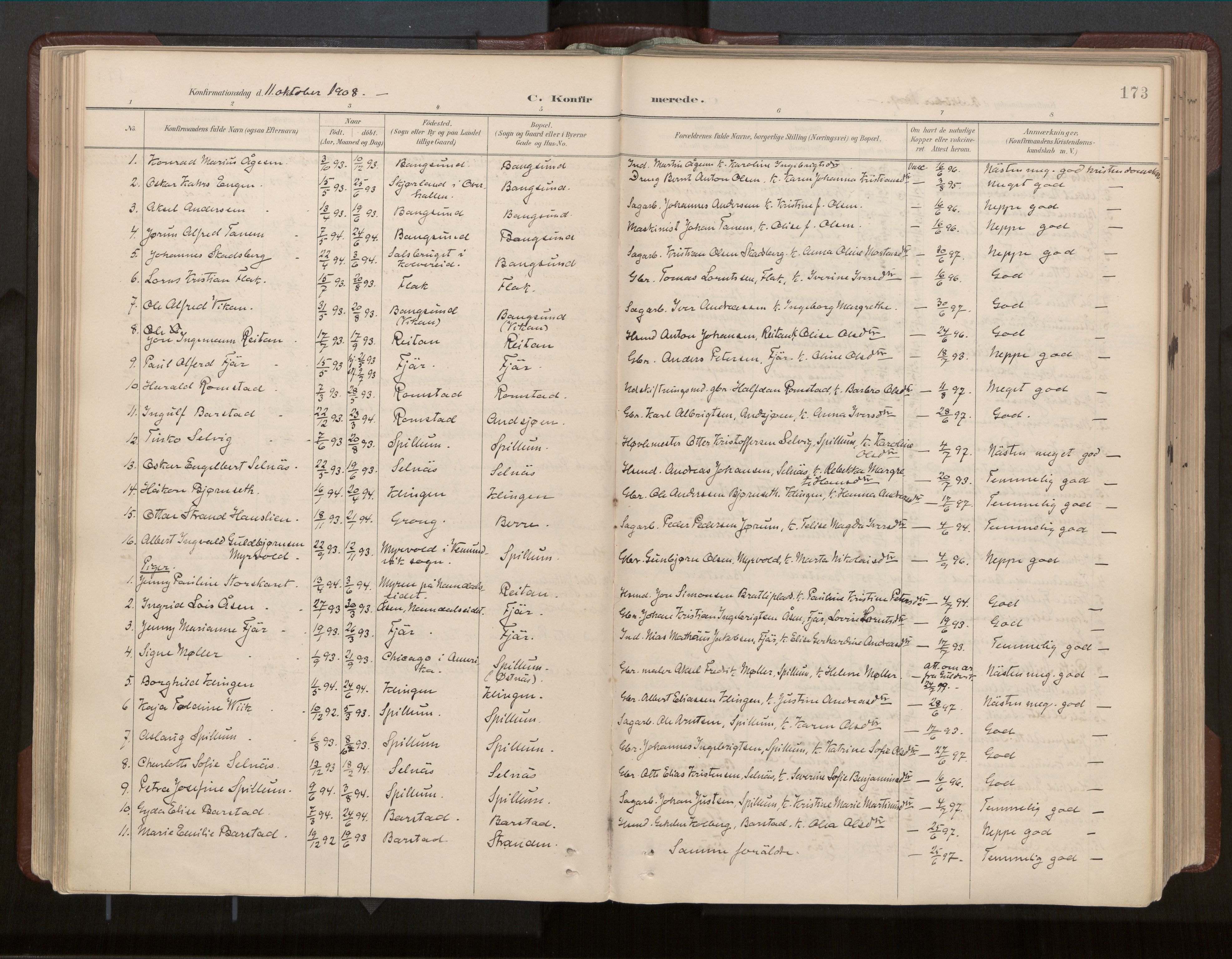 Ministerialprotokoller, klokkerbøker og fødselsregistre - Nord-Trøndelag, SAT/A-1458/770/L0589: Parish register (official) no. 770A03, 1887-1929, p. 173