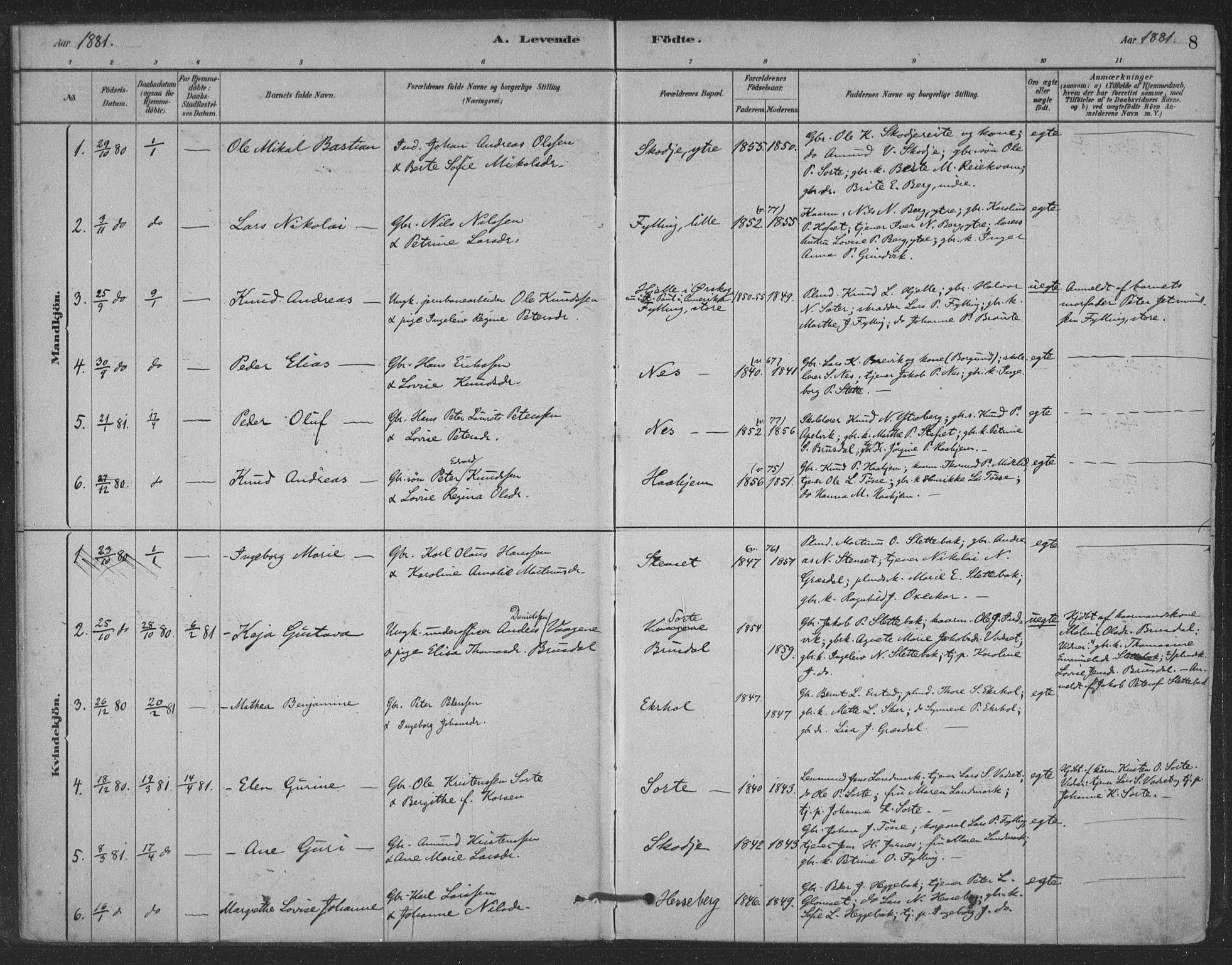 Ministerialprotokoller, klokkerbøker og fødselsregistre - Møre og Romsdal, AV/SAT-A-1454/524/L0356: Parish register (official) no. 524A08, 1880-1899, p. 8