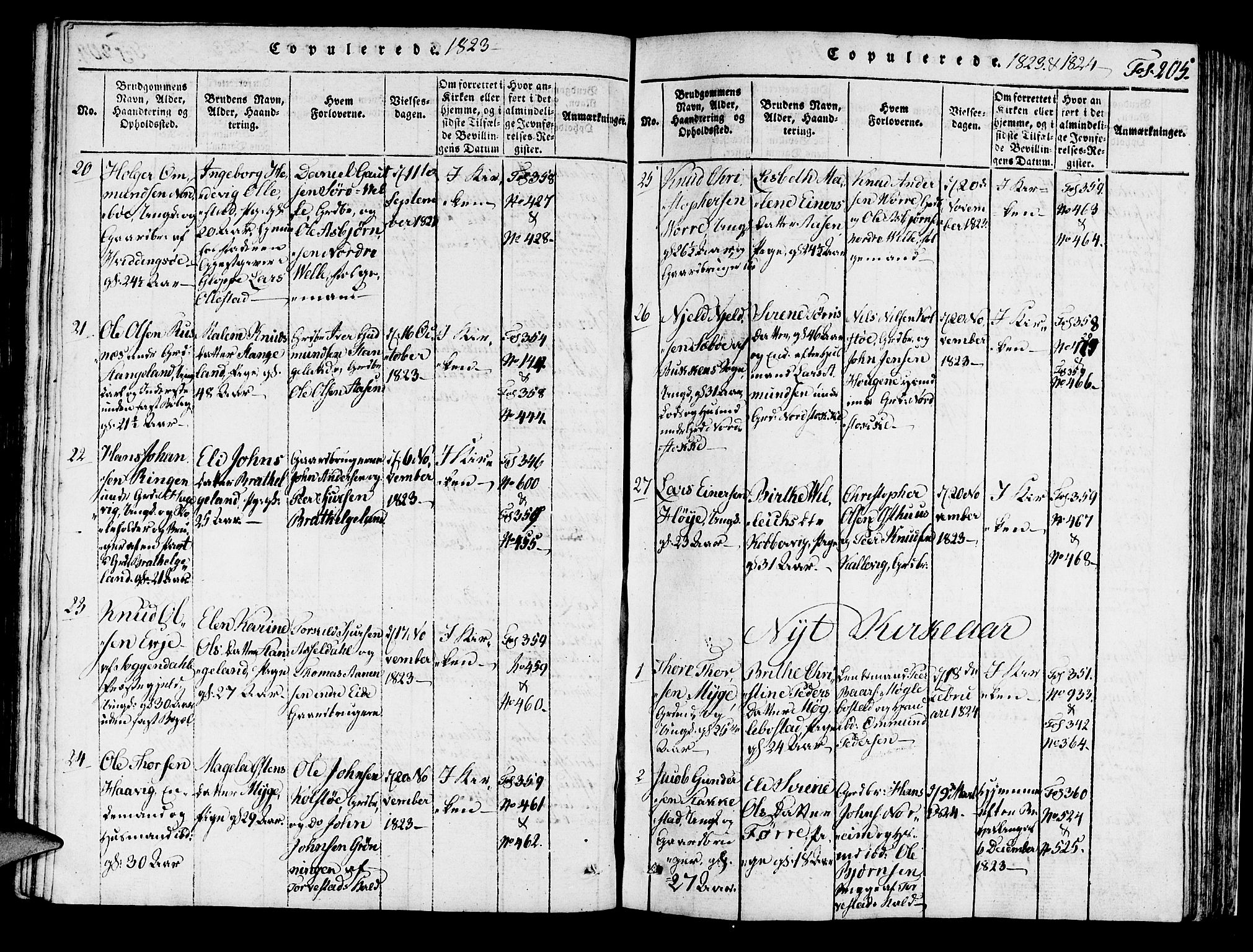 Avaldsnes sokneprestkontor, SAST/A -101851/H/Ha/Haa/L0004: Parish register (official) no. A 4, 1816-1825, p. 205