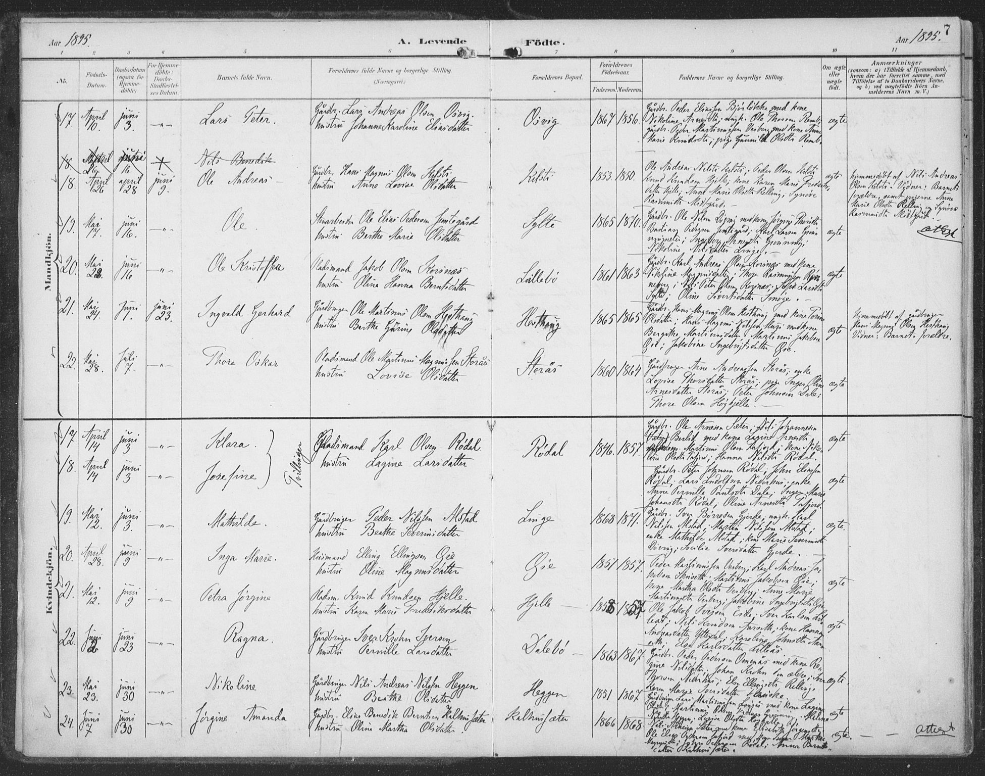 Ministerialprotokoller, klokkerbøker og fødselsregistre - Møre og Romsdal, AV/SAT-A-1454/519/L0256: Parish register (official) no. 519A15, 1895-1912, p. 7