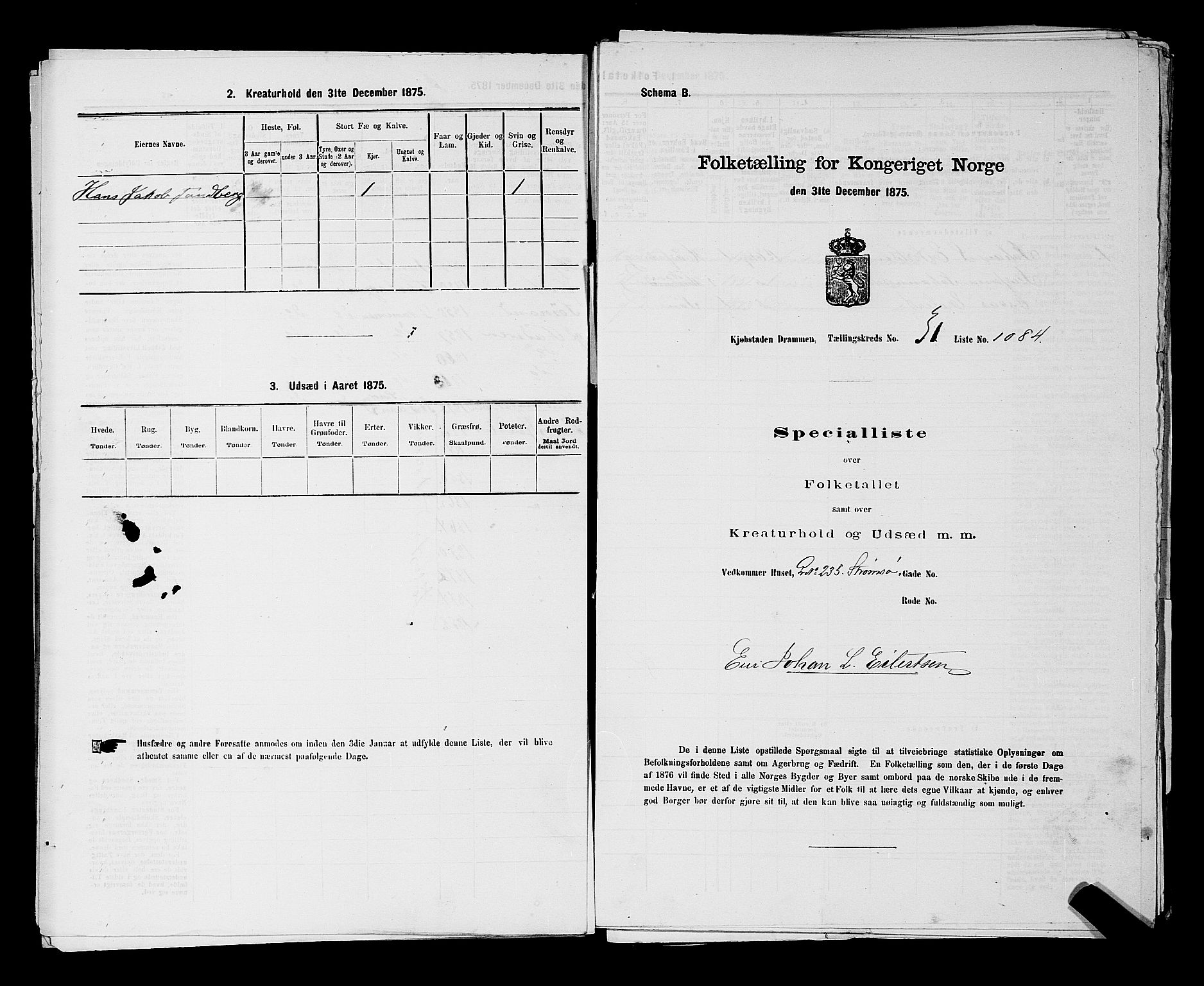 SAKO, 1875 census for 0602 Drammen, 1875, p. 2871