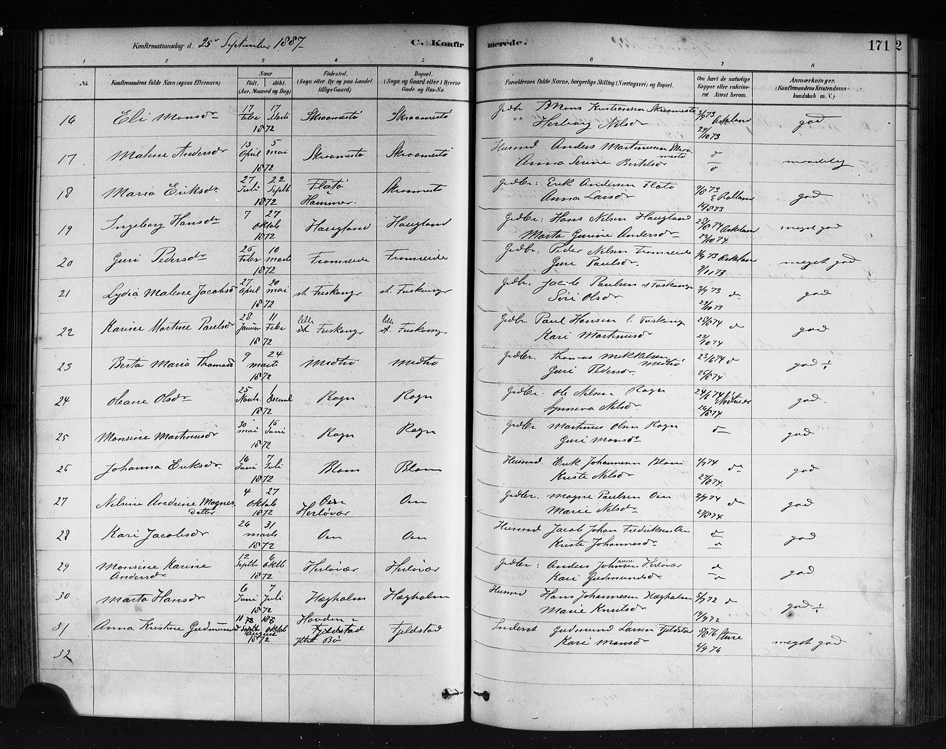 Herdla Sokneprestembete, AV/SAB-A-75701/H/Haa: Parish register (official) no. A 3, 1878-1890, p. 171