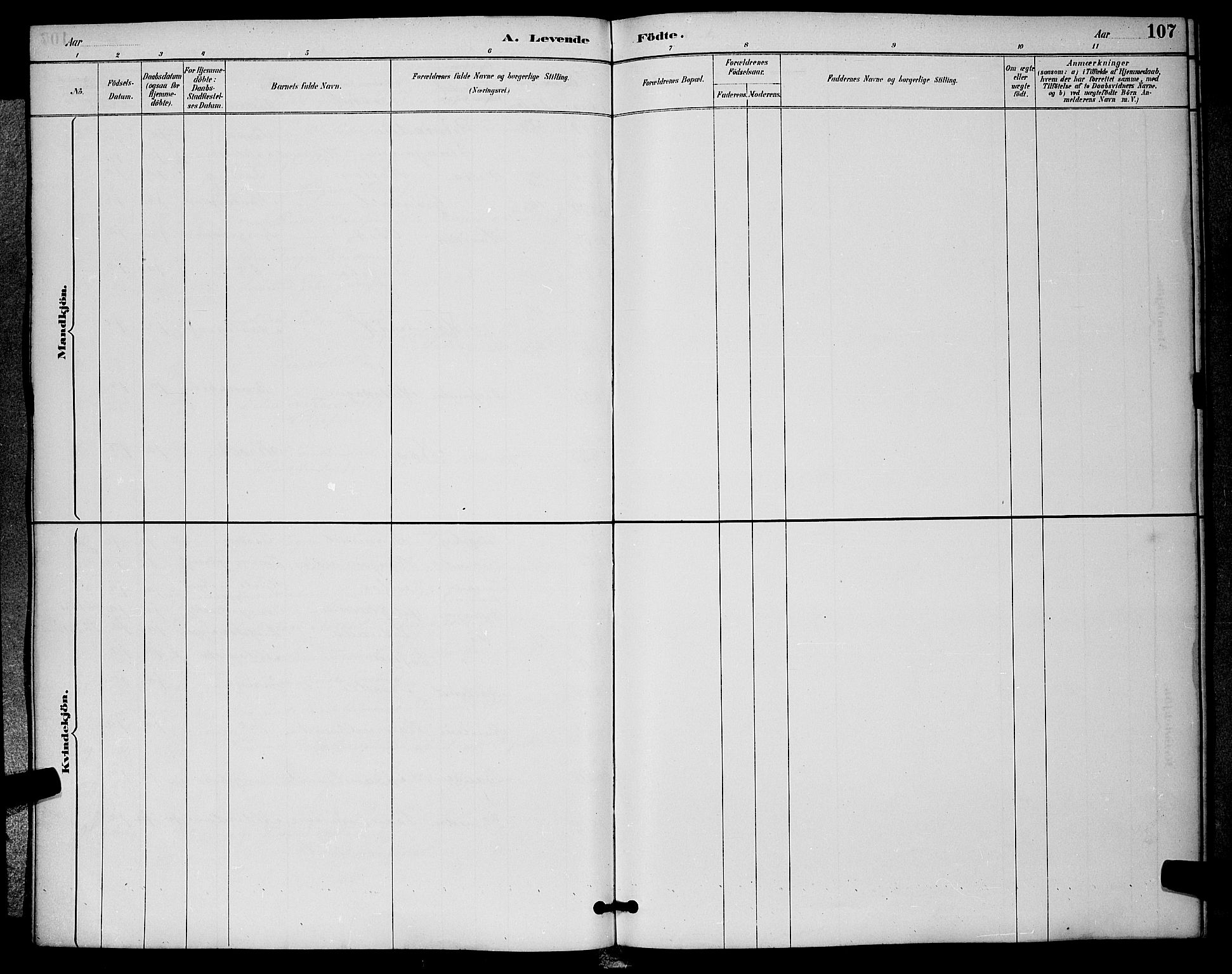 Sigdal kirkebøker, SAKO/A-245/G/Ga/L0005: Parish register (copy) no. I 5, 1886-1900, p. 107