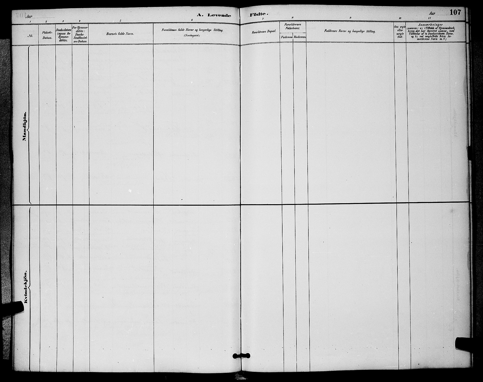 Sigdal kirkebøker, AV/SAKO-A-245/G/Ga/L0005: Parish register (copy) no. I 5, 1886-1900, p. 107