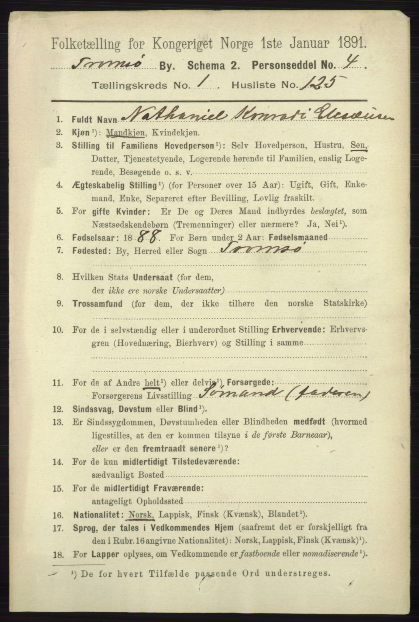 RA, 1891 census for 1902 Tromsø, 1891, p. 1579