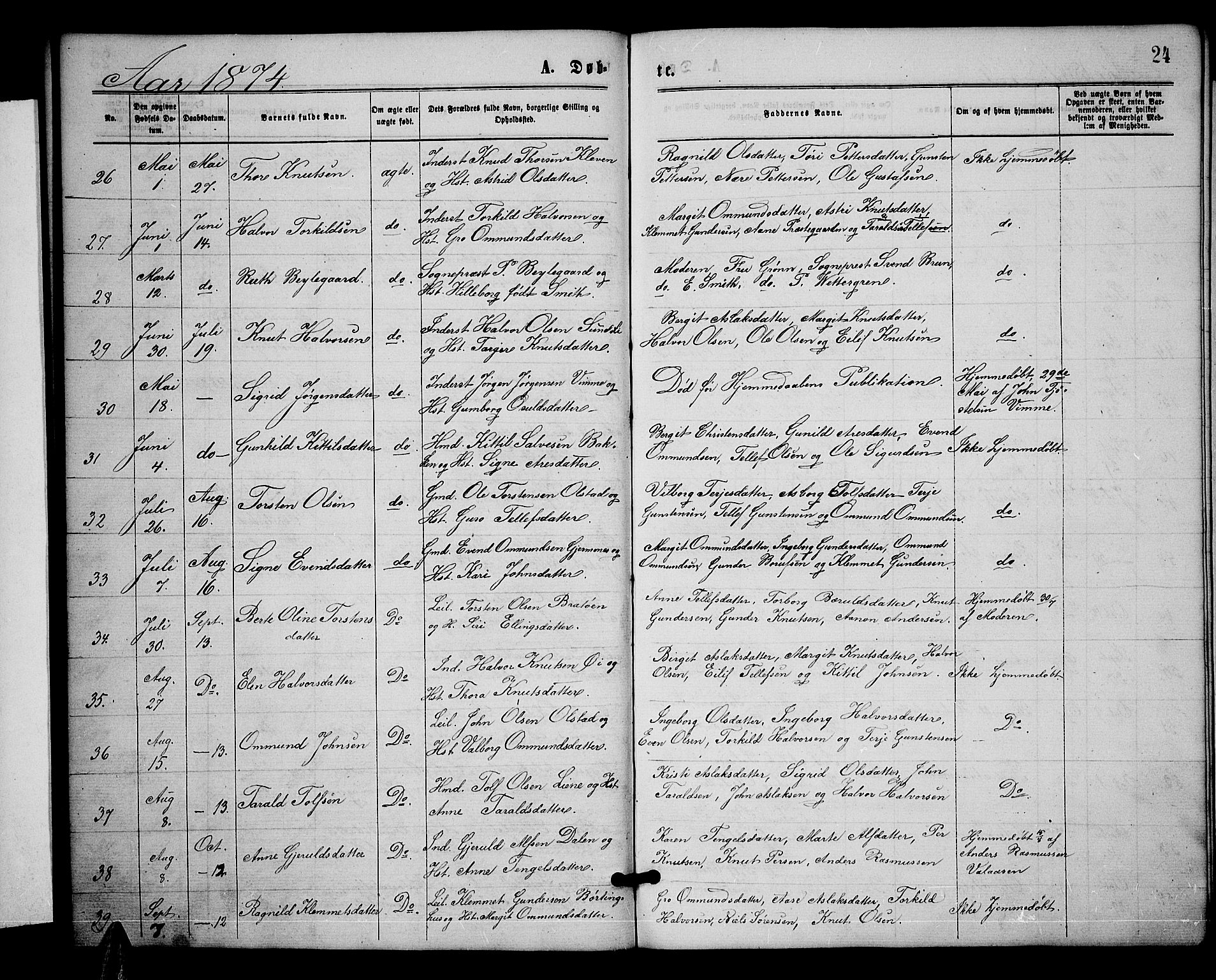 Åmli sokneprestkontor, SAK/1111-0050/F/Fb/Fbc/L0003: Parish register (copy) no. B 3, 1868-1888, p. 24